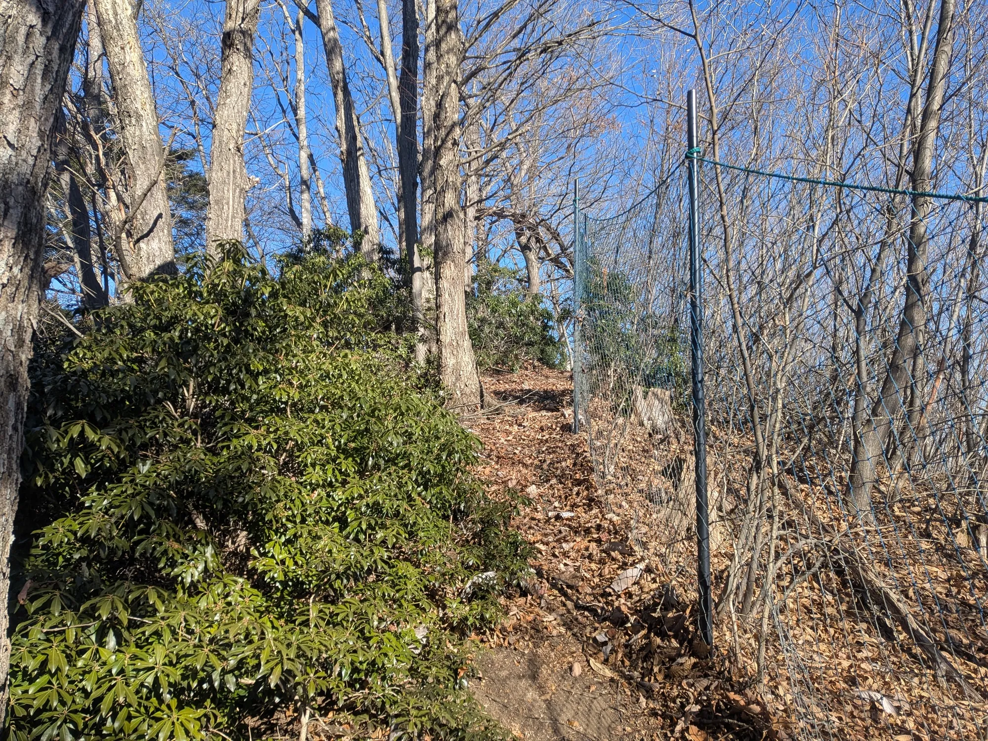 たむら鍼灸整骨院のイメージ