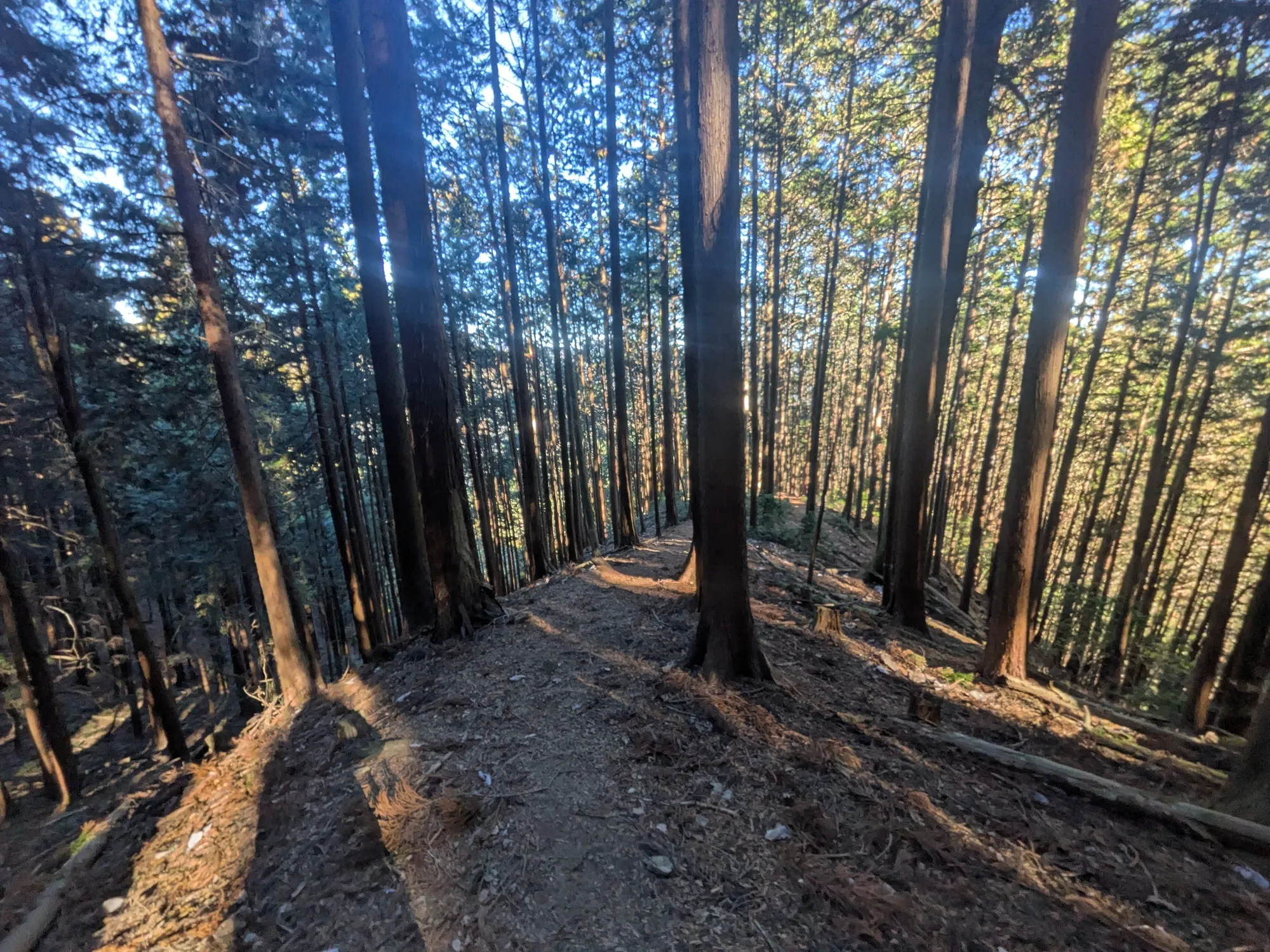 たむら鍼灸整骨院のイメージ