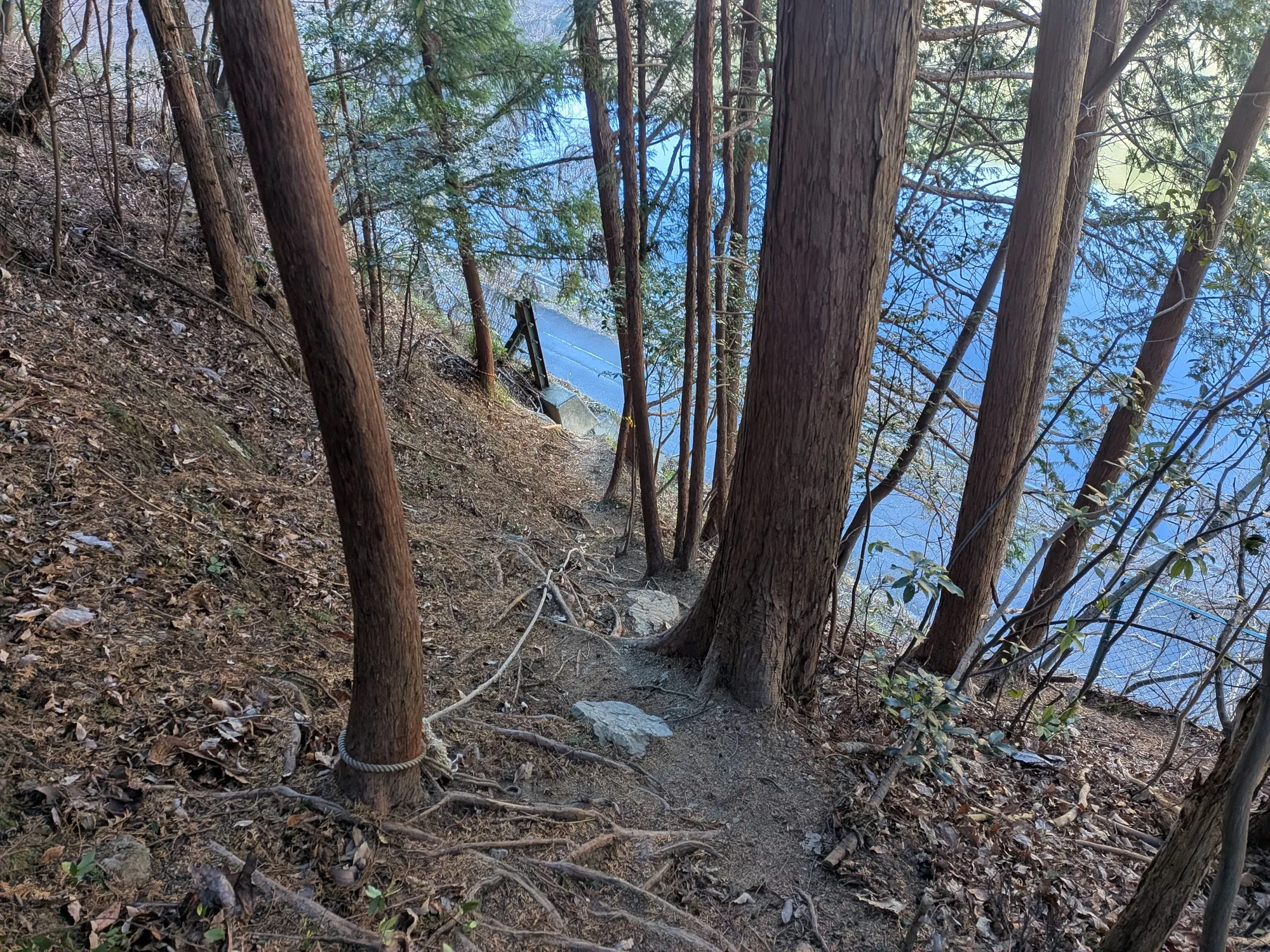 たむら鍼灸整骨院のイメージ