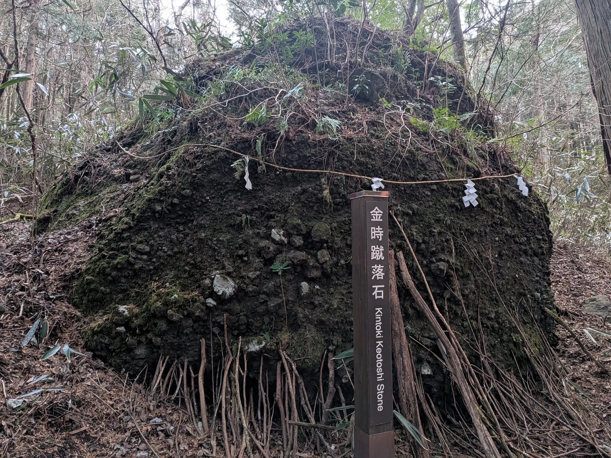 たむら鍼灸整骨院のイメージ