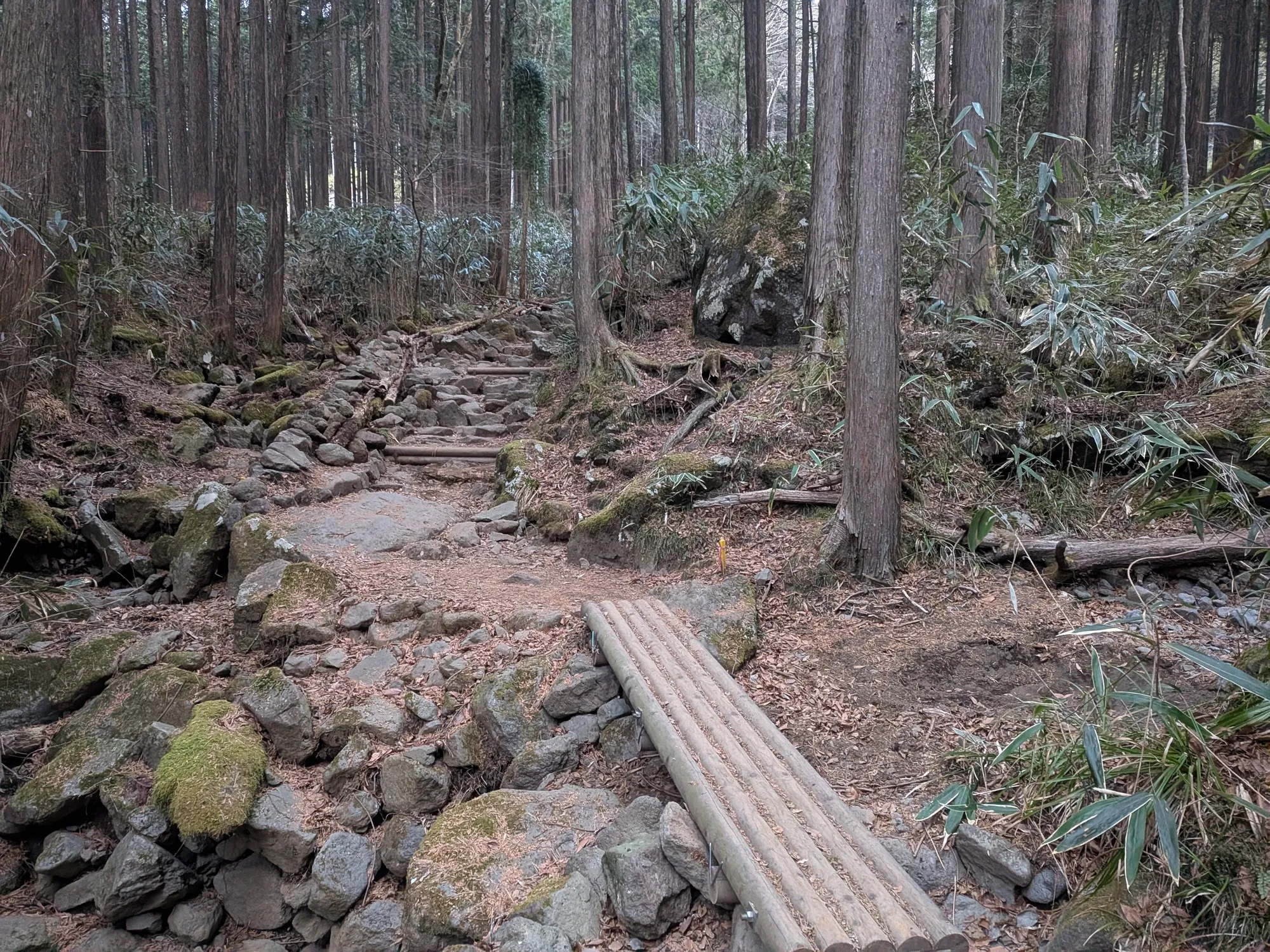 たむら鍼灸整骨院のイメージ