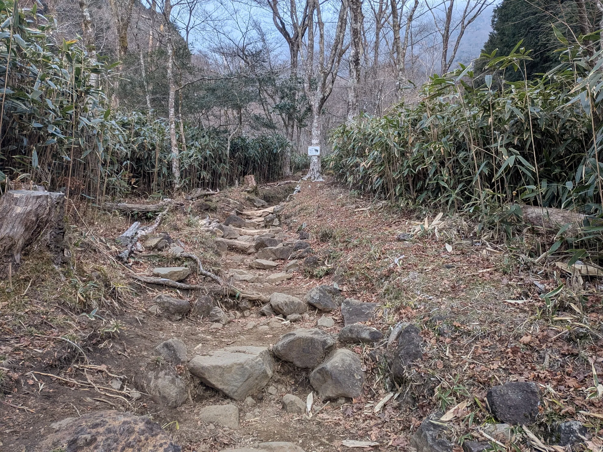 たむら鍼灸整骨院のイメージ