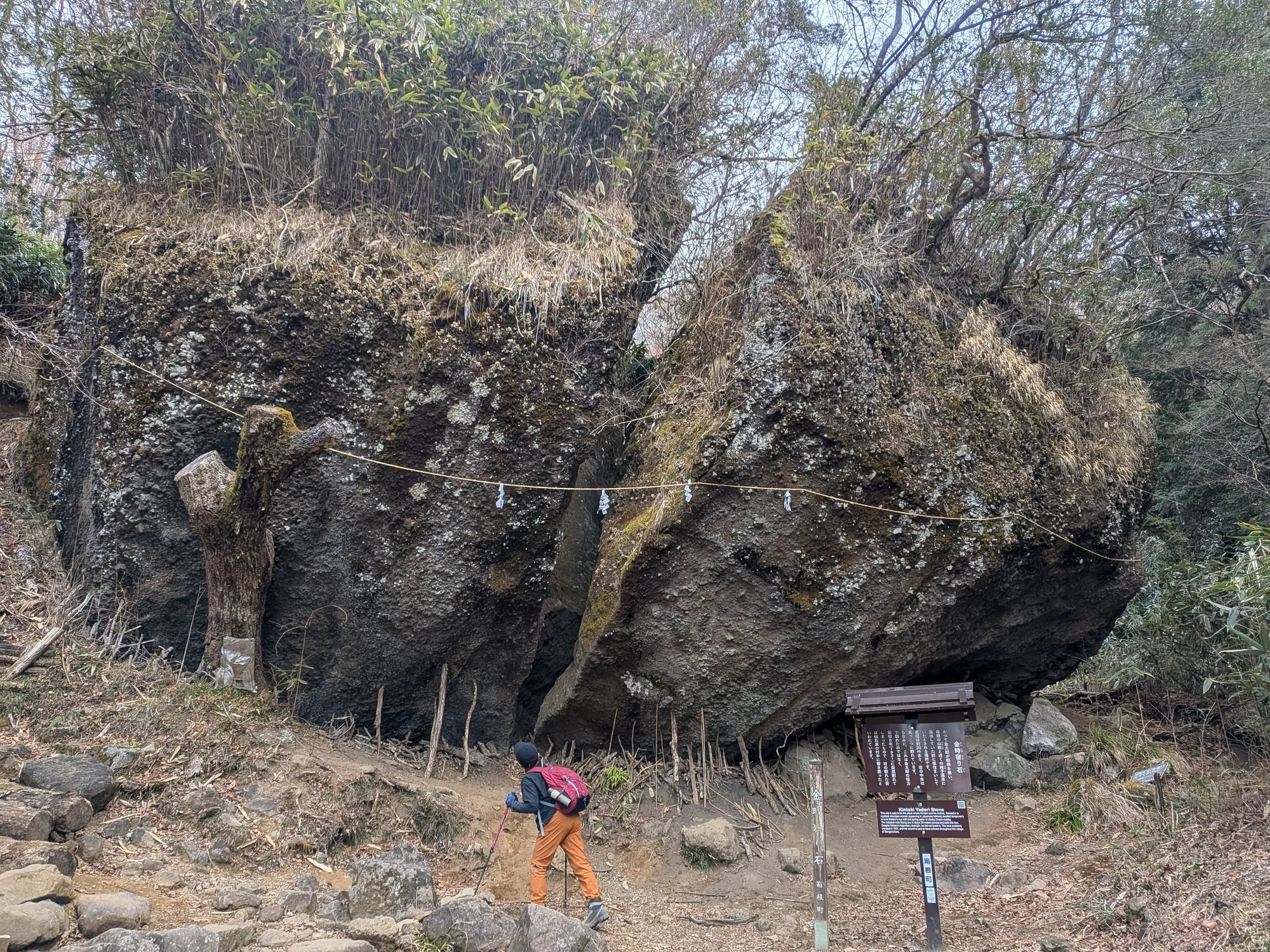 たむら鍼灸整骨院のイメージ