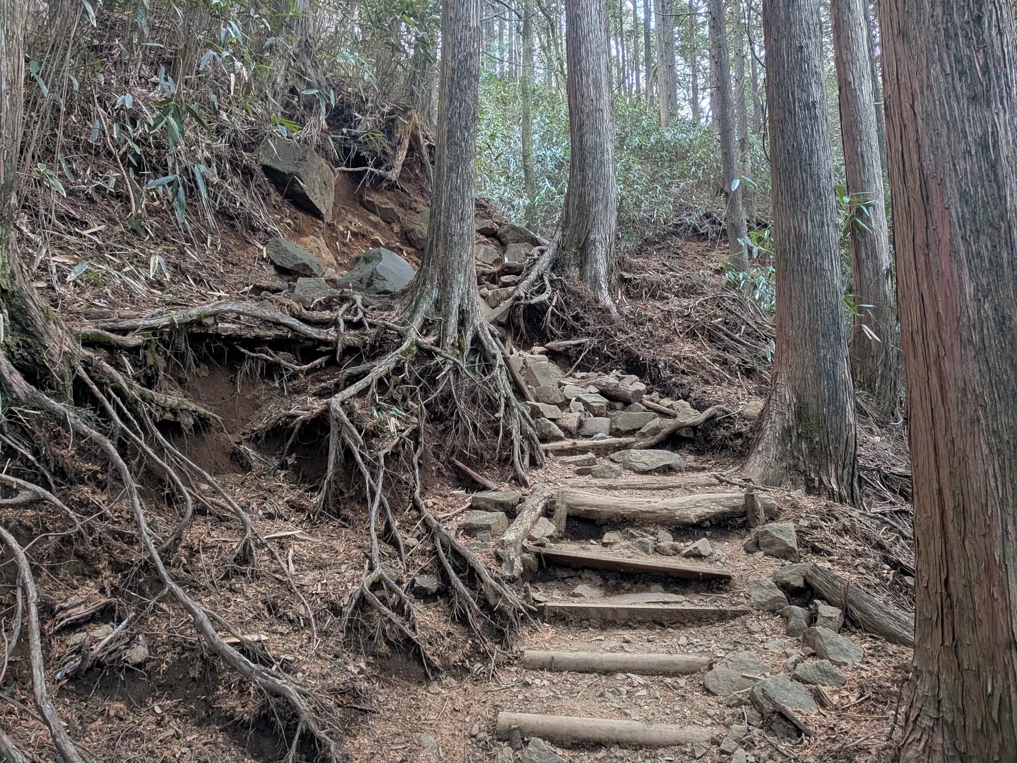 たむら鍼灸整骨院のイメージ