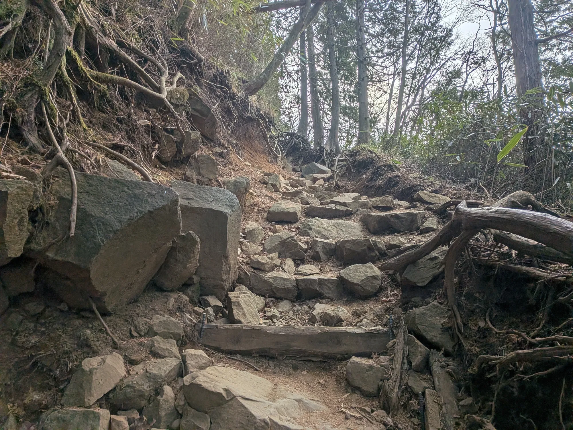 たむら鍼灸整骨院のイメージ