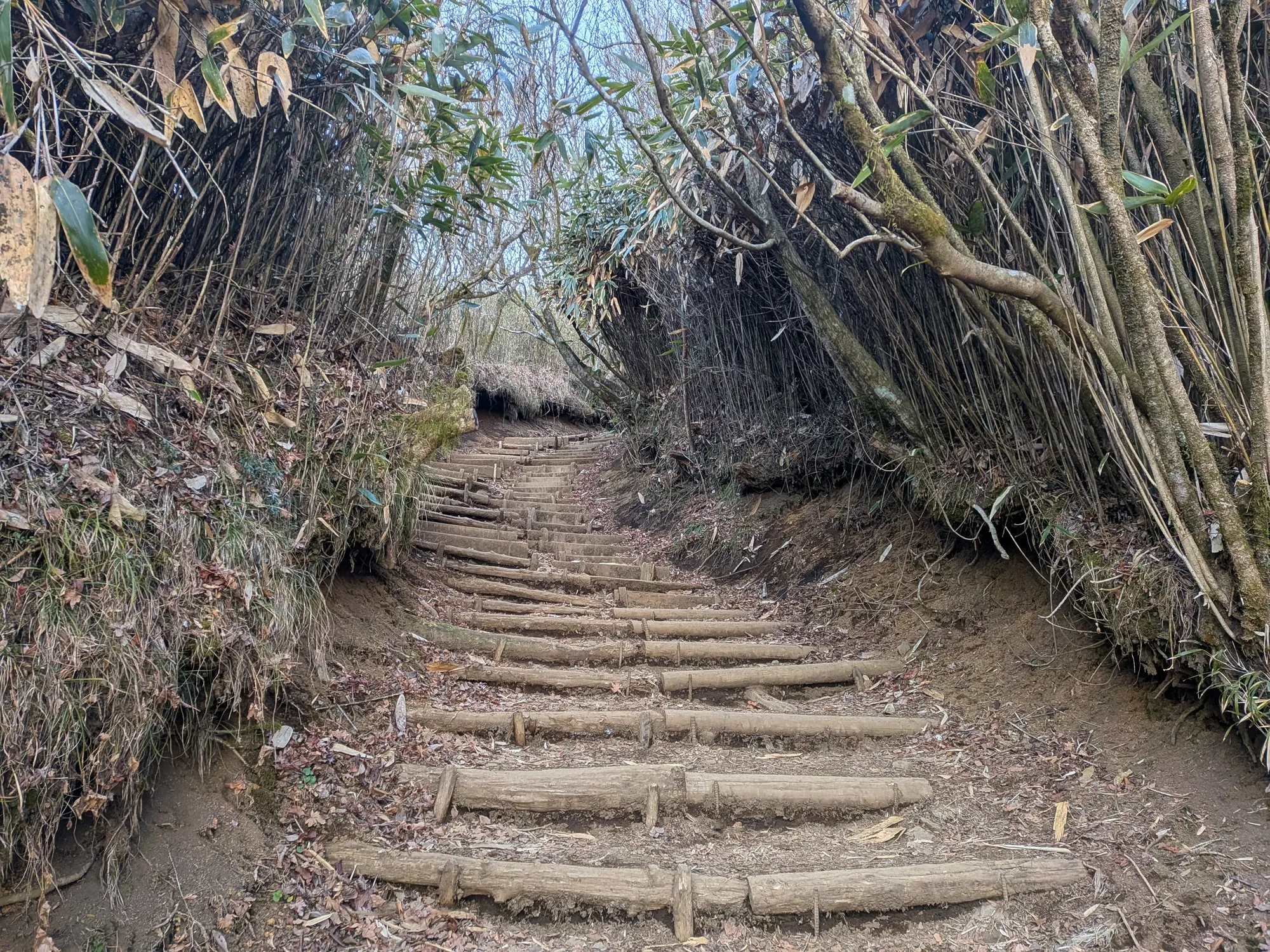 たむら鍼灸整骨院のイメージ