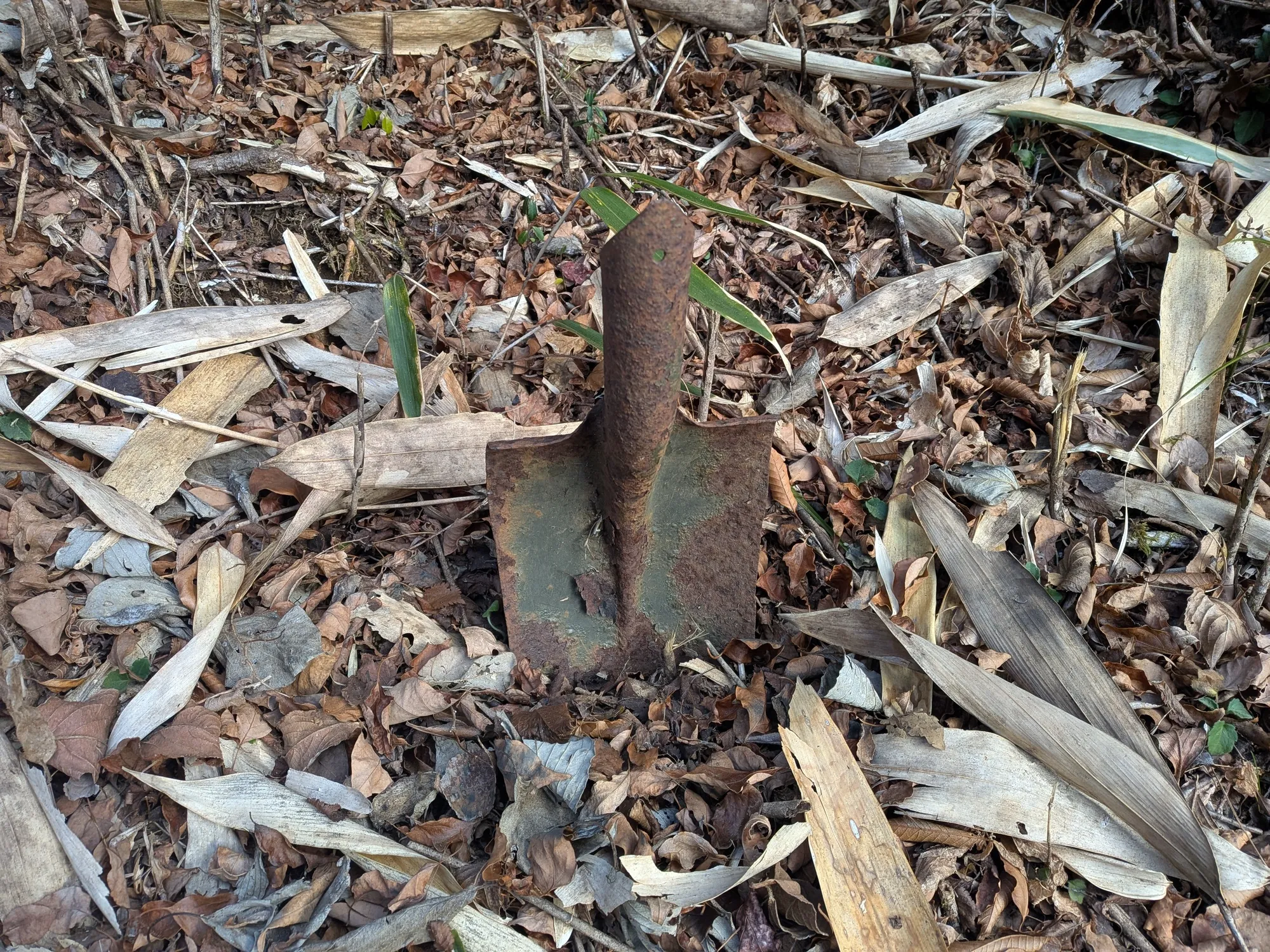 たむら鍼灸整骨院のイメージ