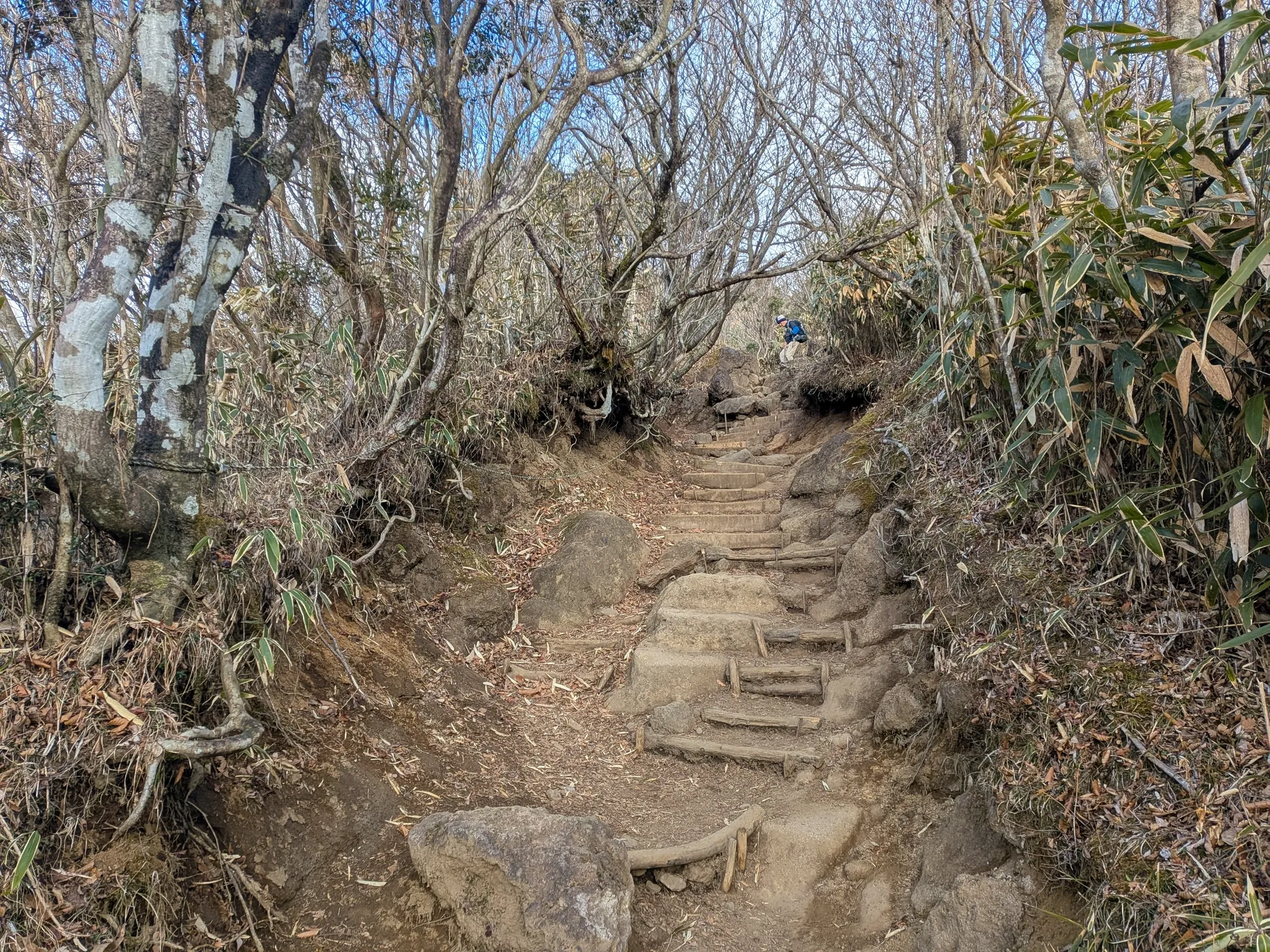 たむら鍼灸整骨院のイメージ