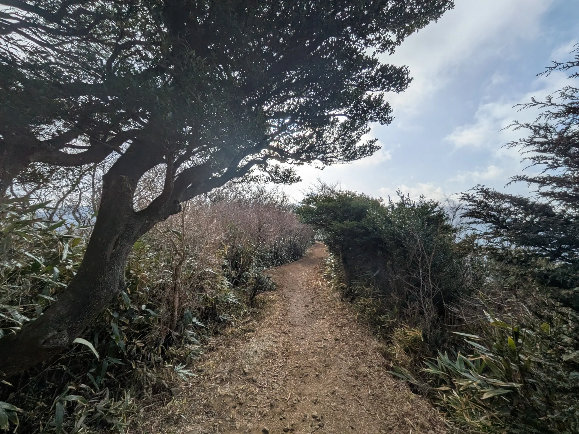 たむら鍼灸整骨院のイメージ