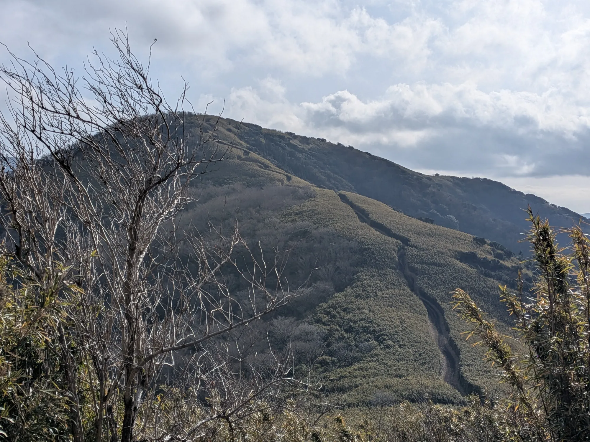 たむら鍼灸整骨院のイメージ