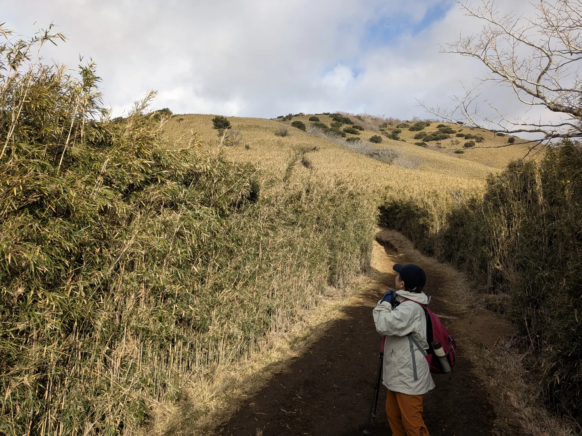 たむら鍼灸整骨院のイメージ