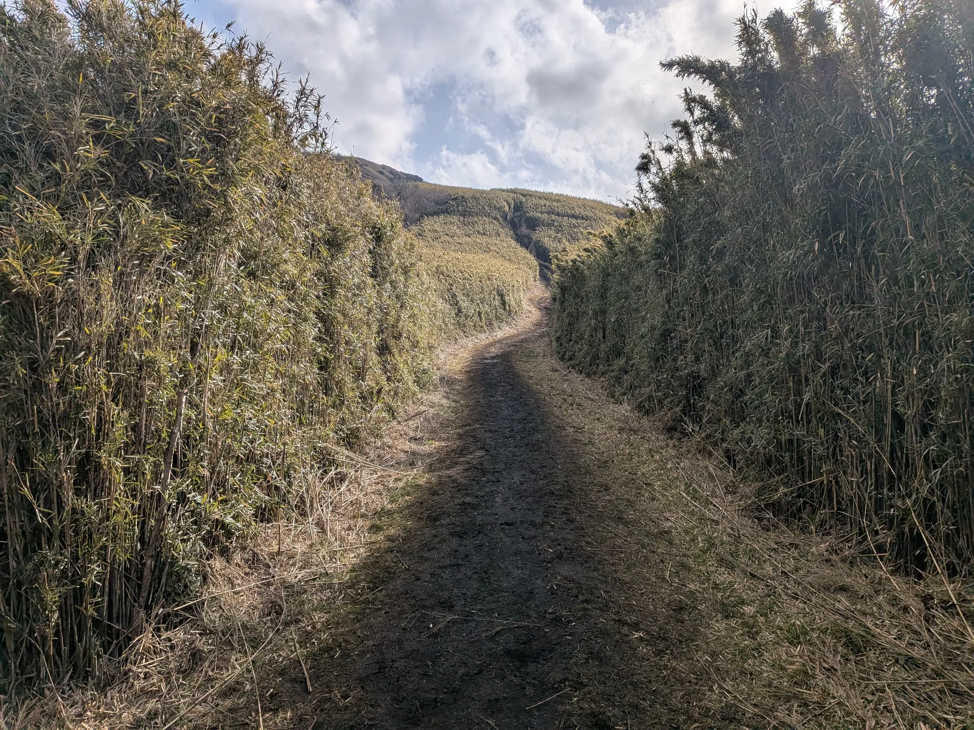 たむら鍼灸整骨院のイメージ