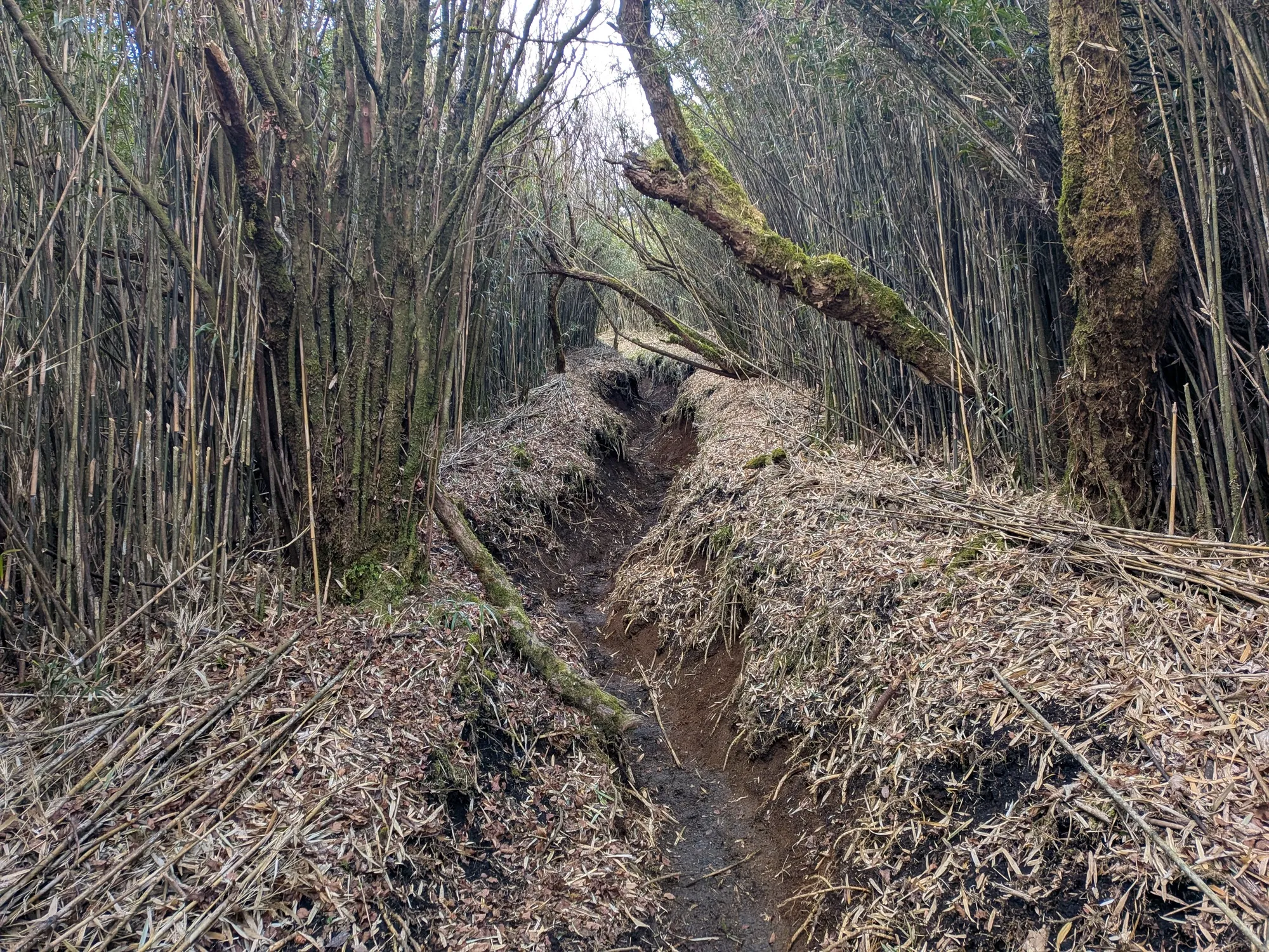 たむら鍼灸整骨院のイメージ