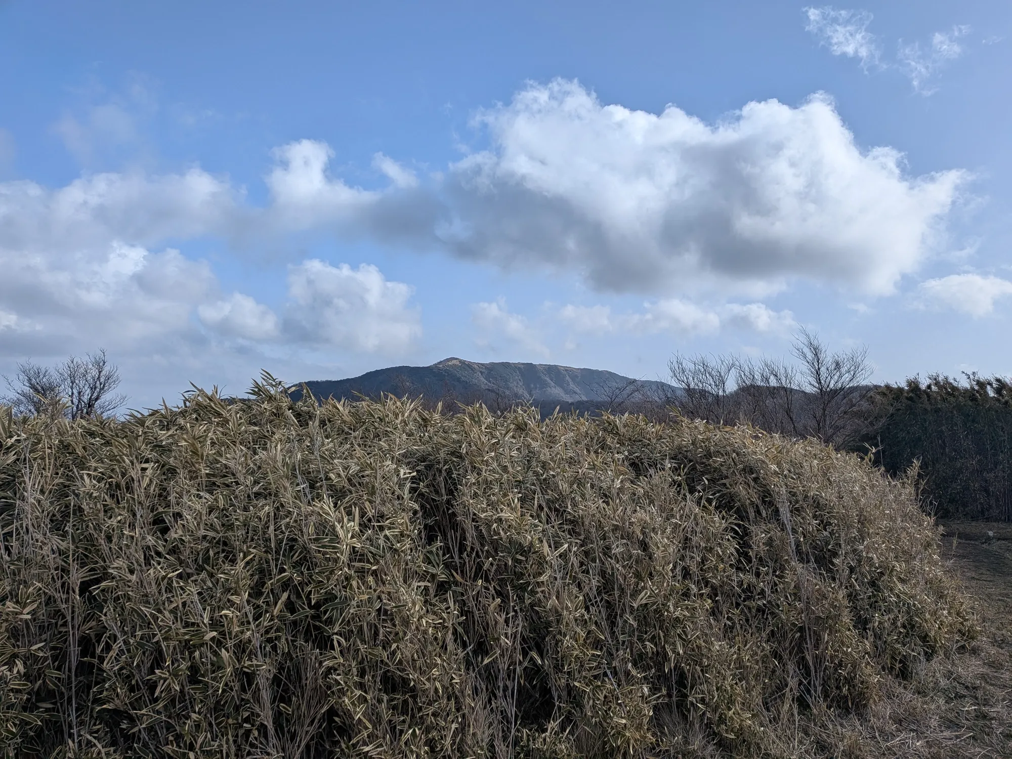 たむら鍼灸整骨院のイメージ