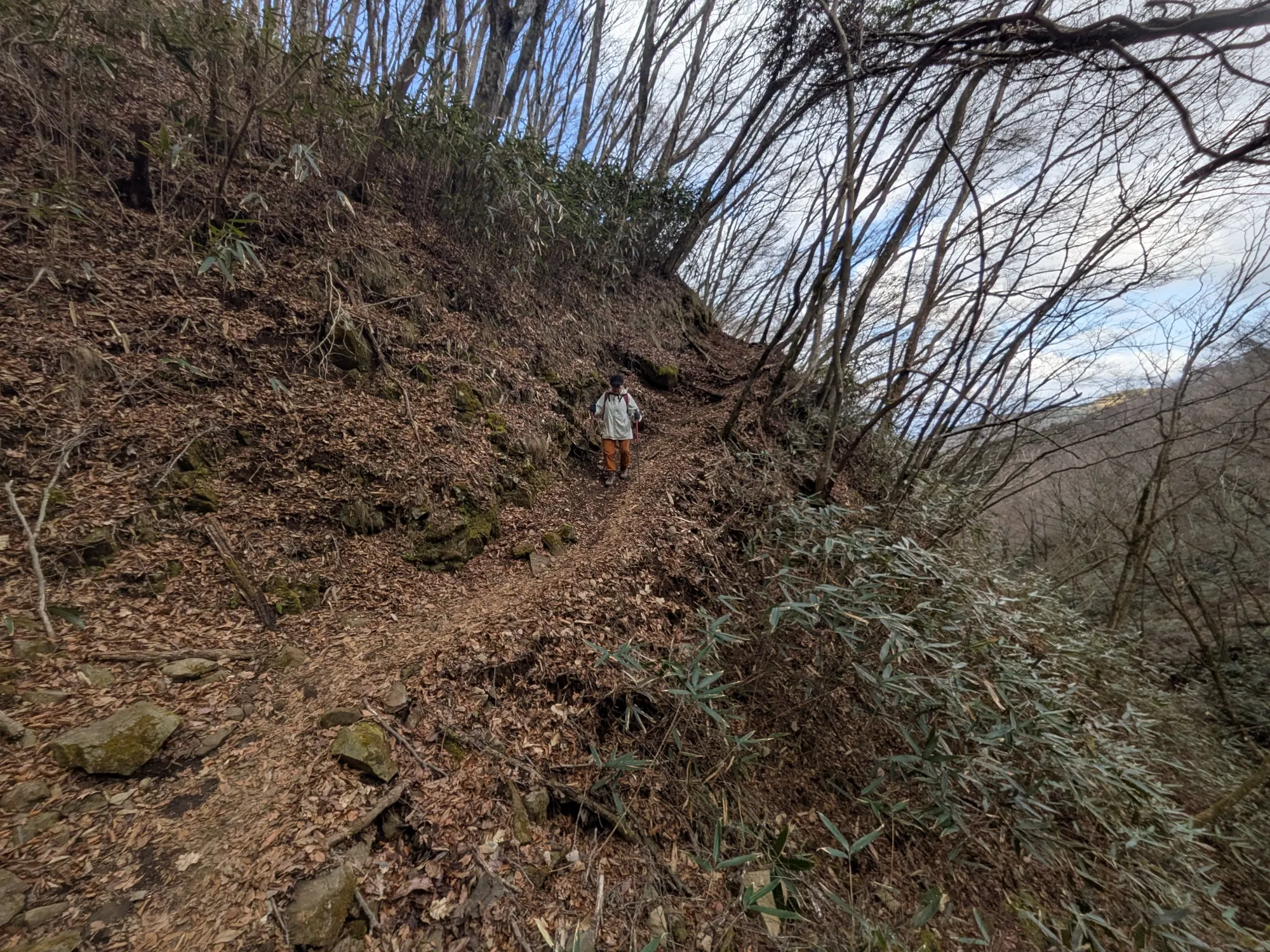 たむら鍼灸整骨院のイメージ
