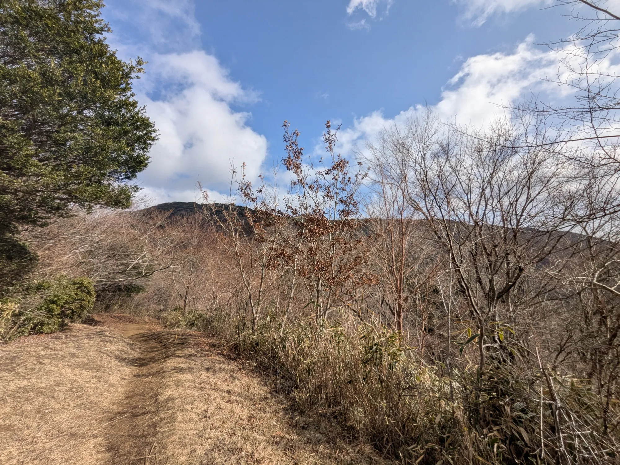 たむら鍼灸整骨院のイメージ