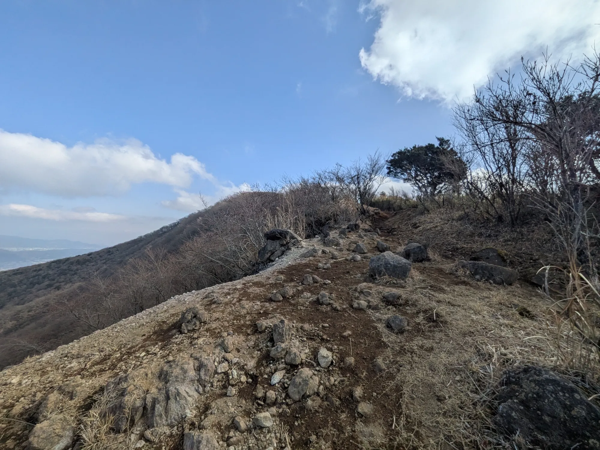 たむら鍼灸整骨院のイメージ