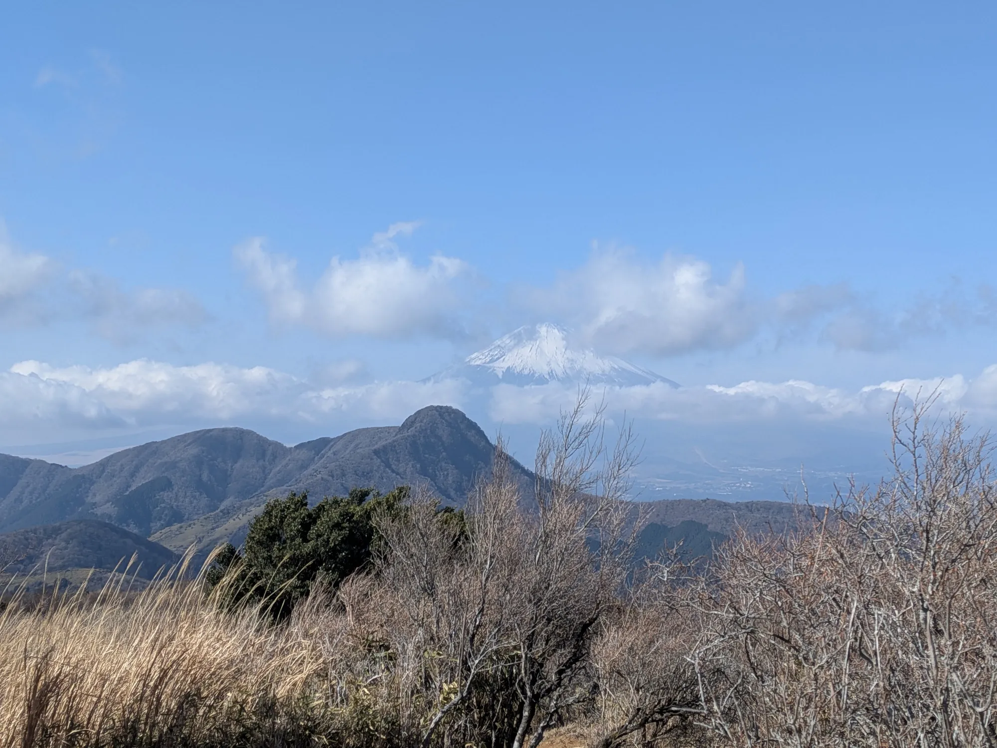 たむら鍼灸整骨院のイメージ