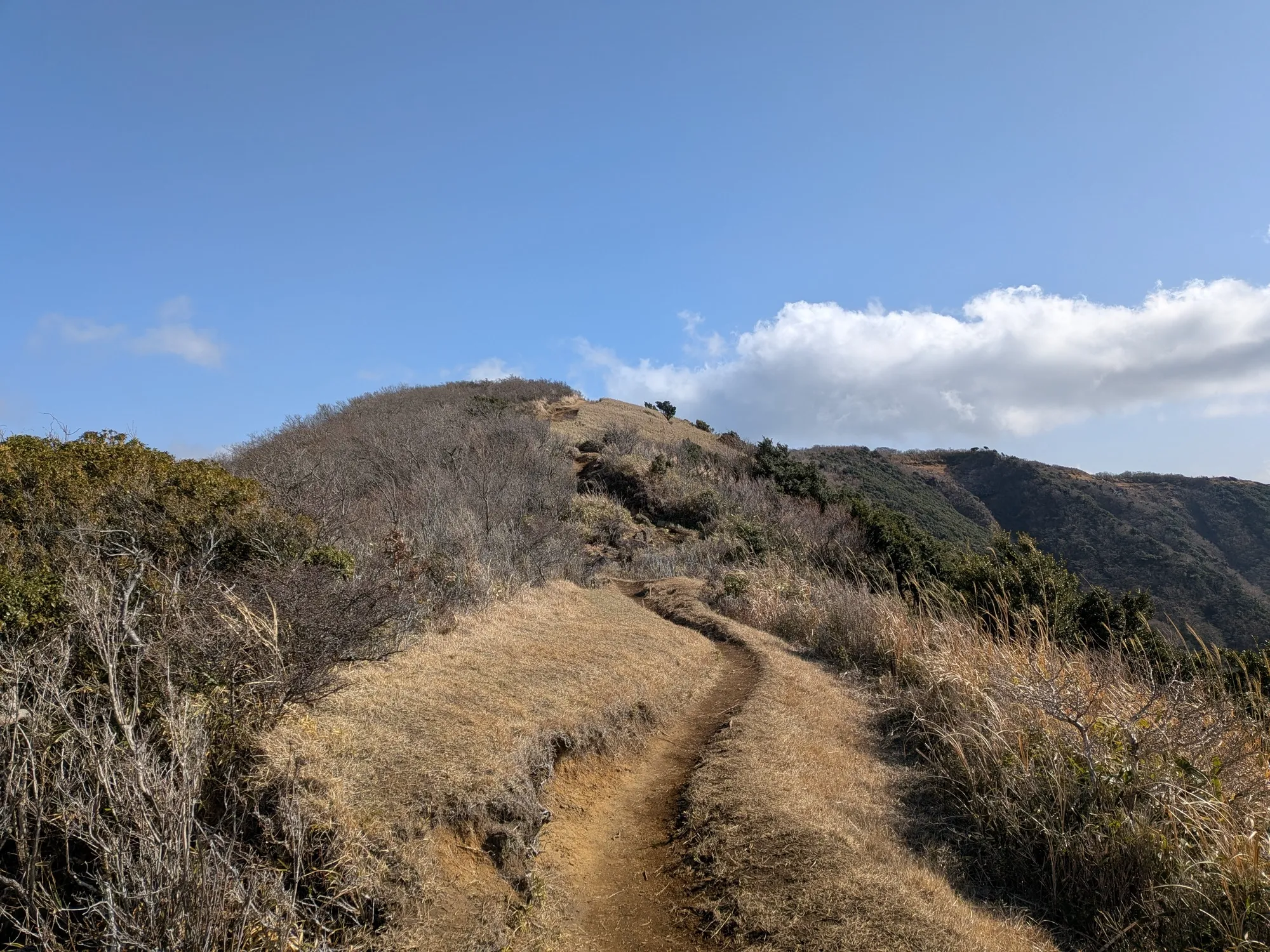 たむら鍼灸整骨院のイメージ
