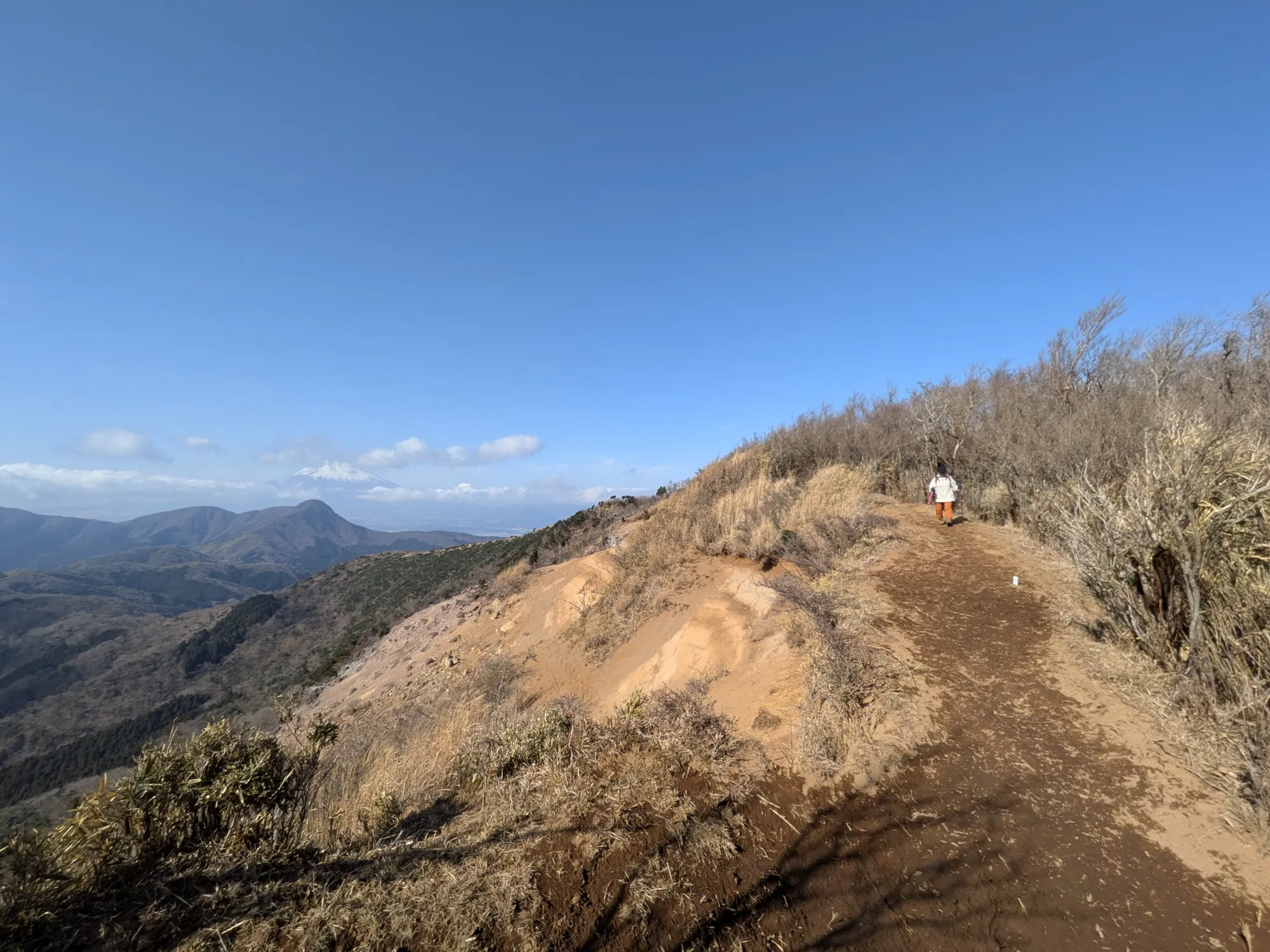 たむら鍼灸整骨院のイメージ