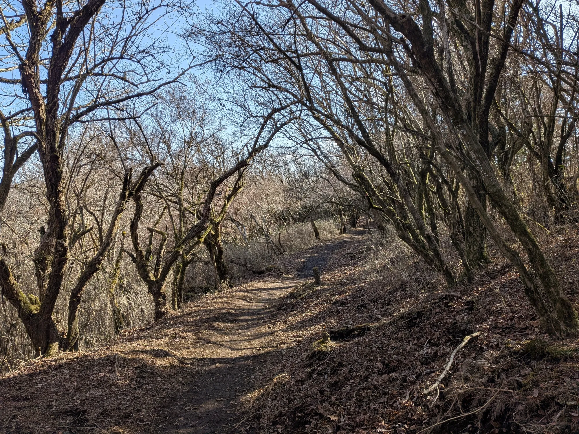 たむら鍼灸整骨院のイメージ