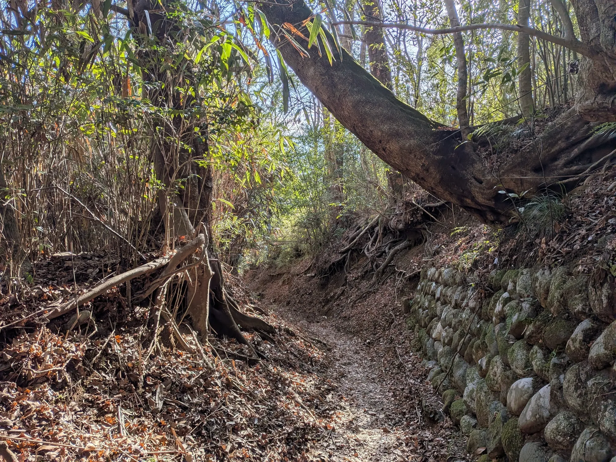 たむら鍼灸整骨院のイメージ