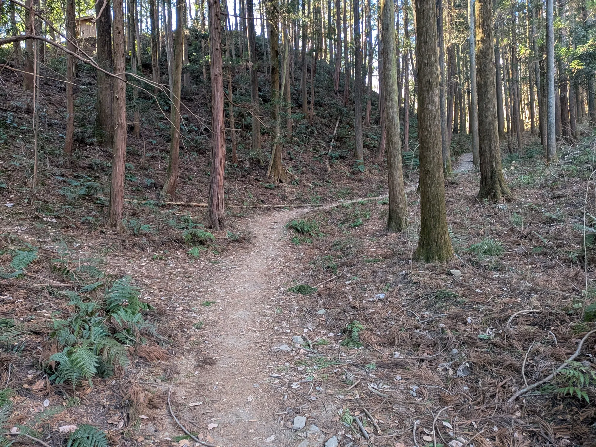 たむら鍼灸整骨院のイメージ