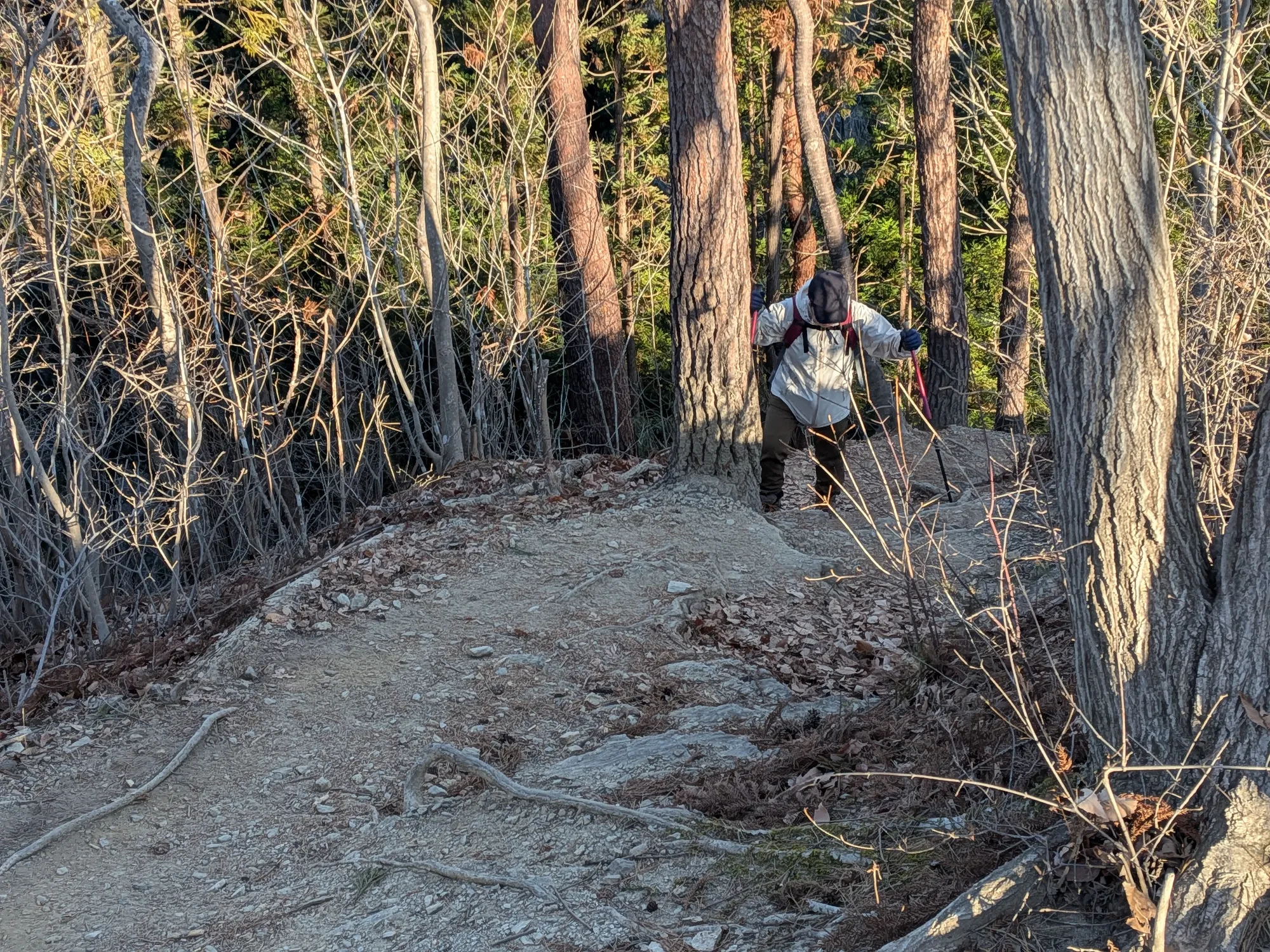 たむら鍼灸整骨院のイメージ