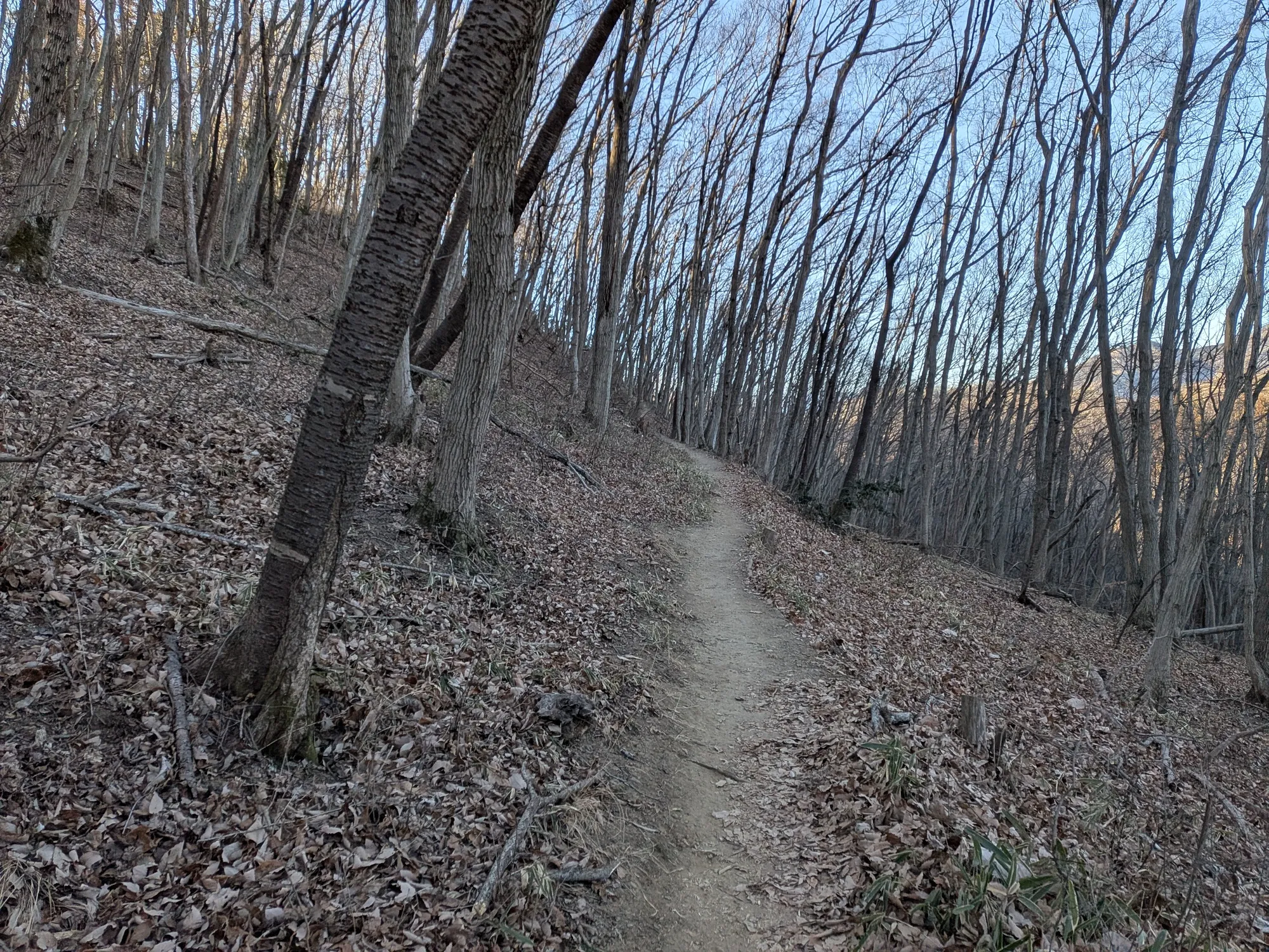 たむら鍼灸整骨院のイメージ