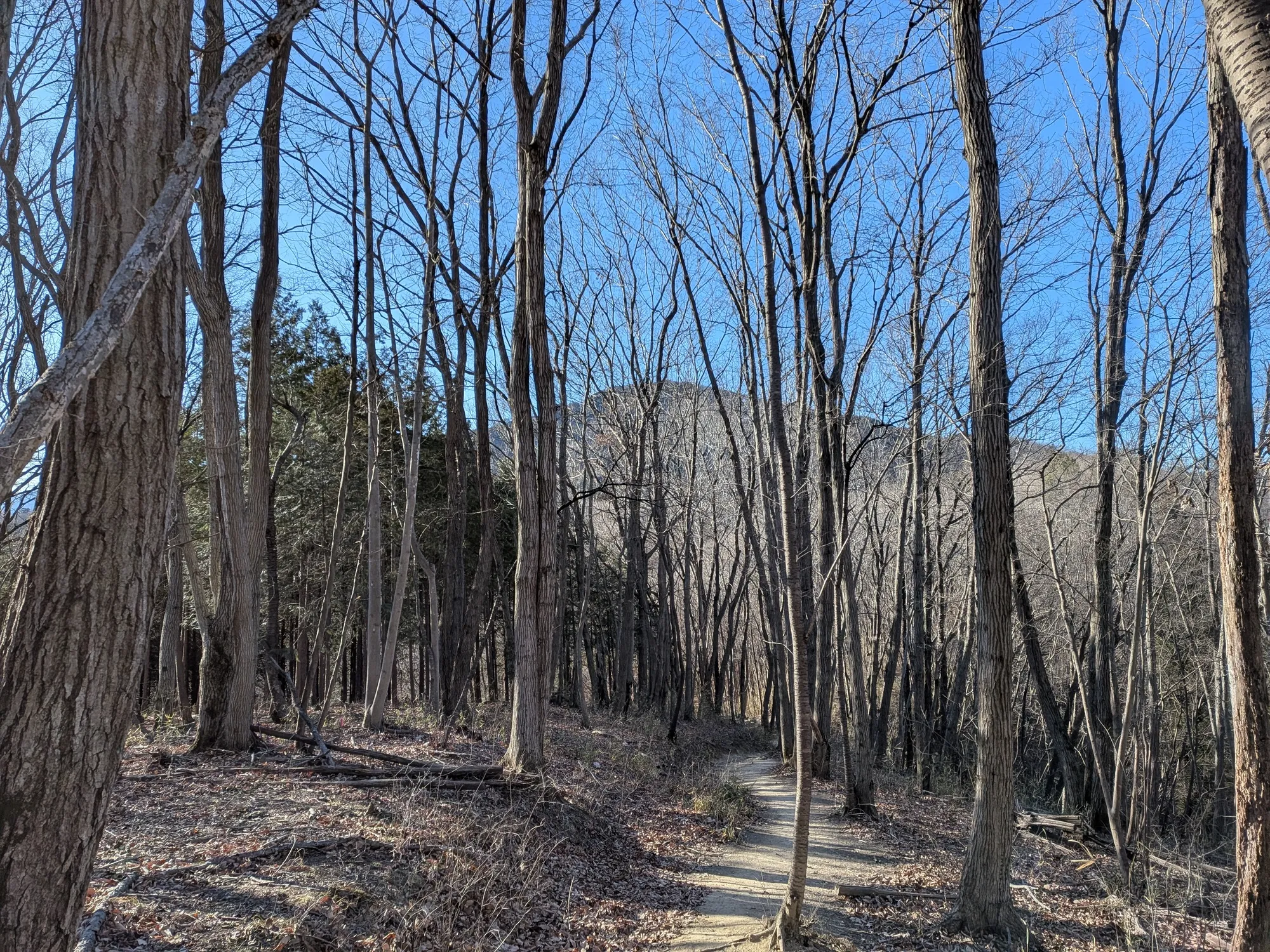 たむら鍼灸整骨院のイメージ