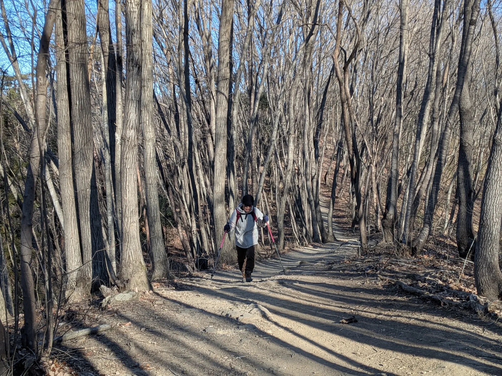 たむら鍼灸整骨院のイメージ