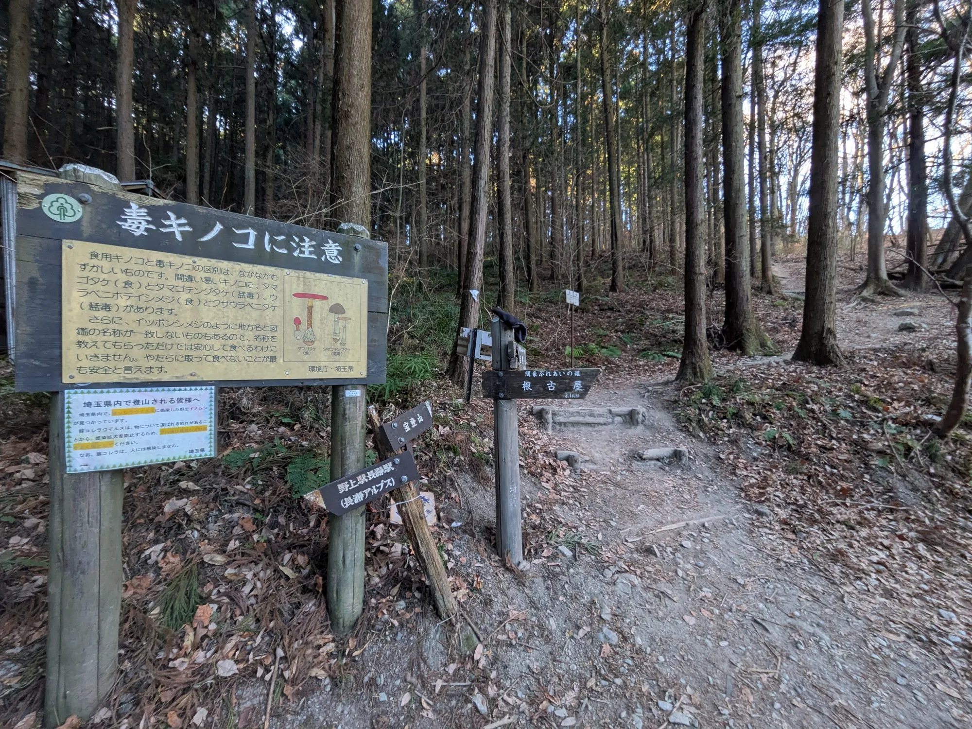たむら鍼灸整骨院のイメージ