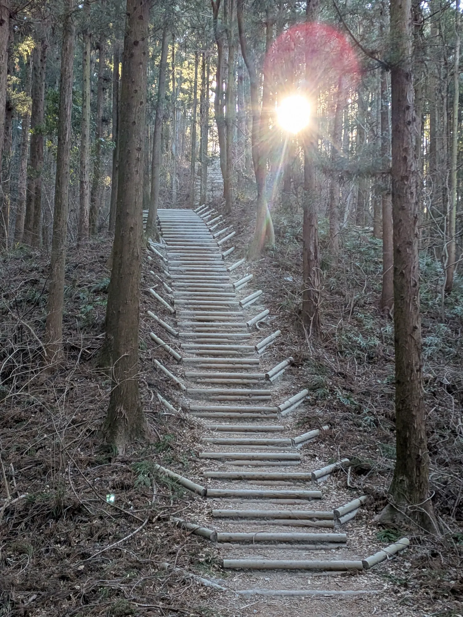 たむら鍼灸整骨院のイメージ