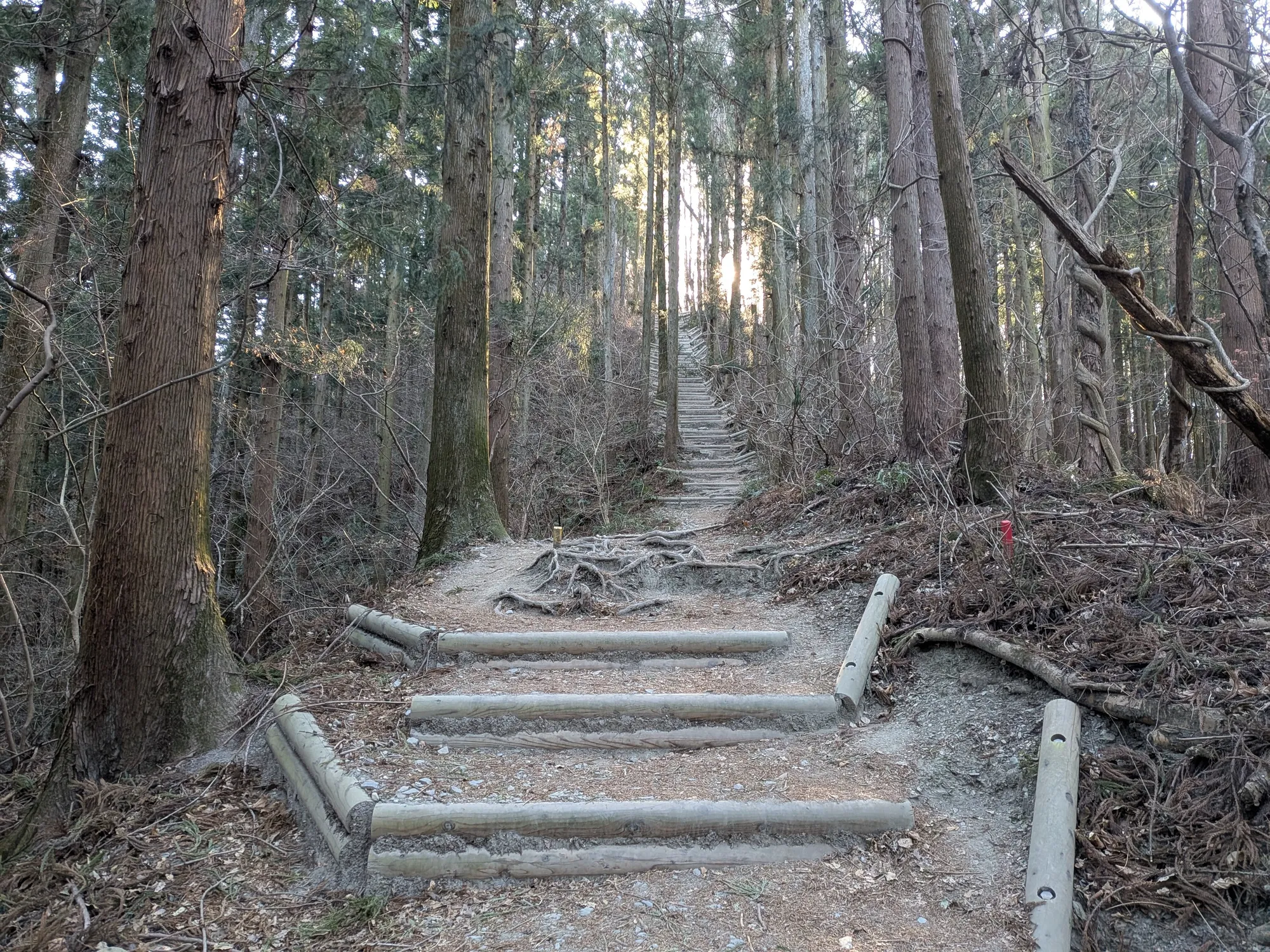 たむら鍼灸整骨院のイメージ