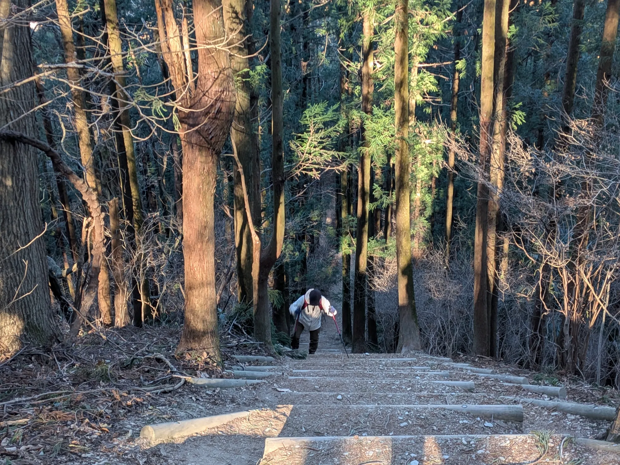 たむら鍼灸整骨院のイメージ