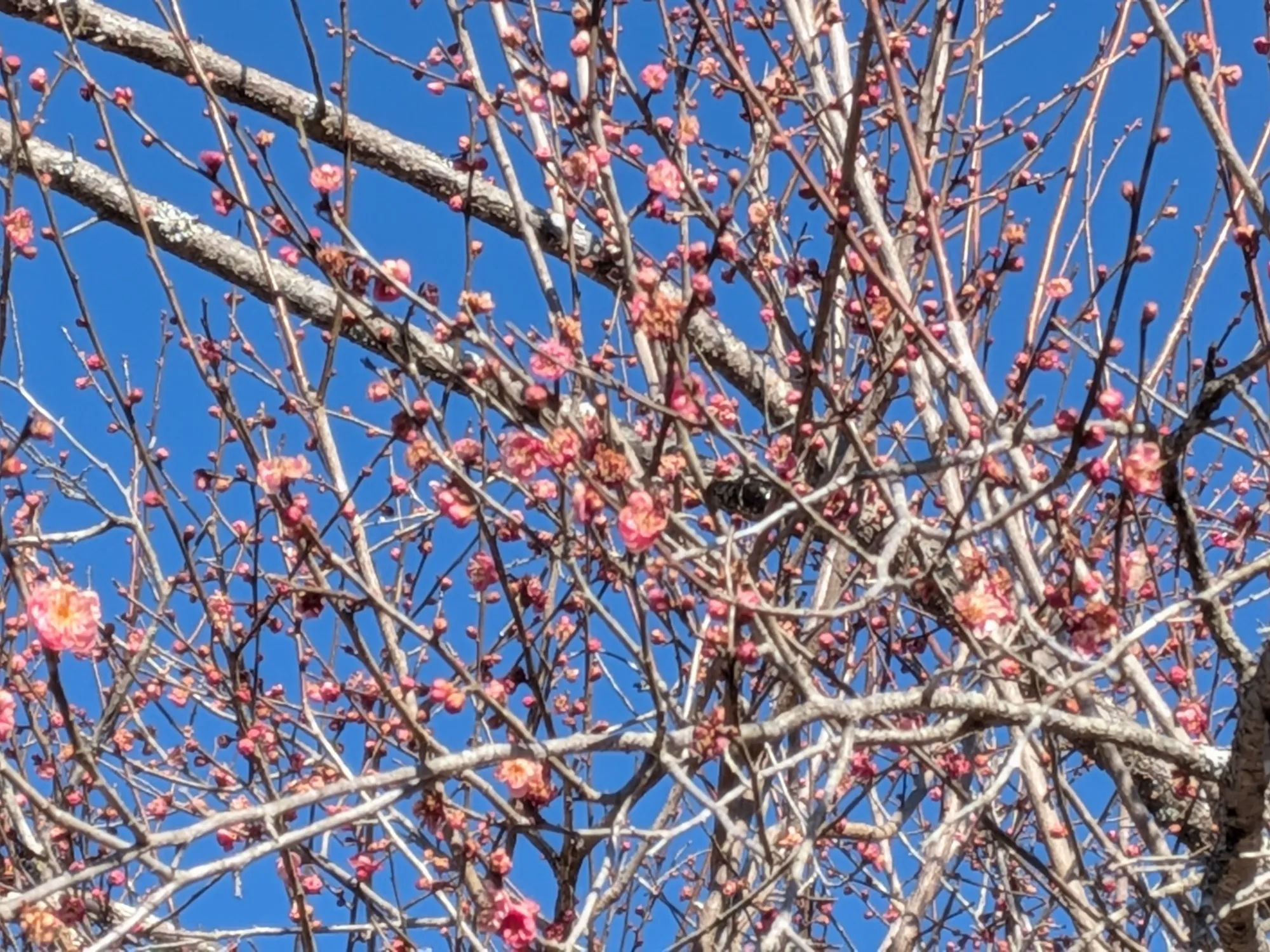 たむら鍼灸整骨院のイメージ