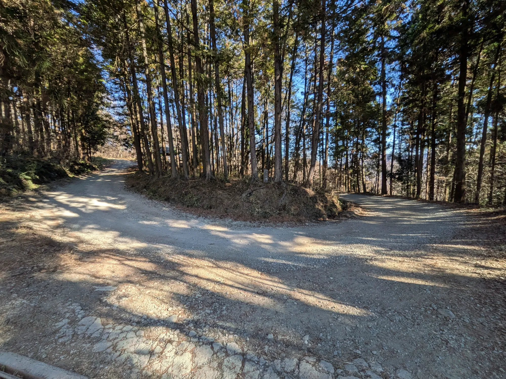 たむら鍼灸整骨院のイメージ