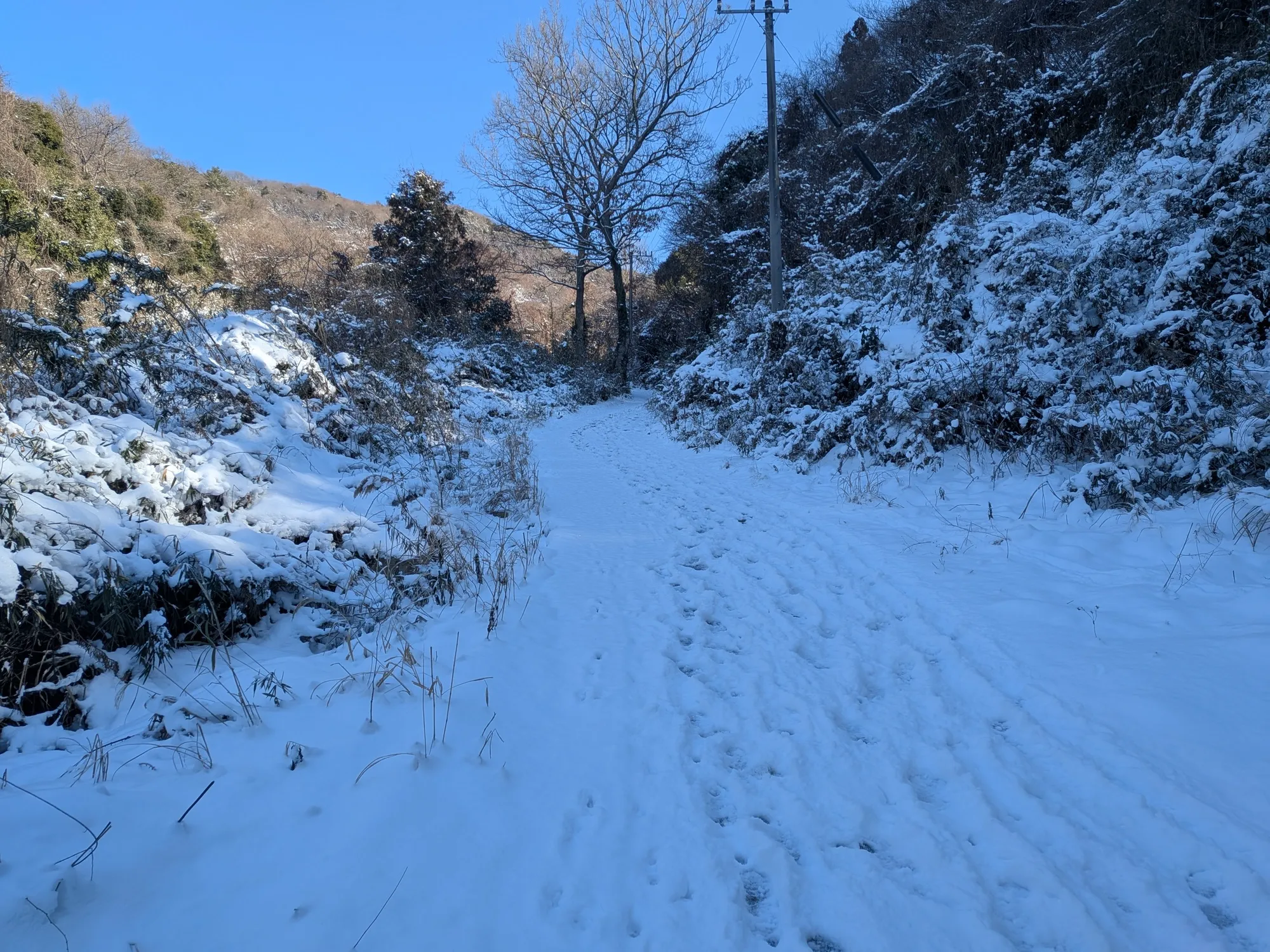 たむら鍼灸整骨院のイメージ