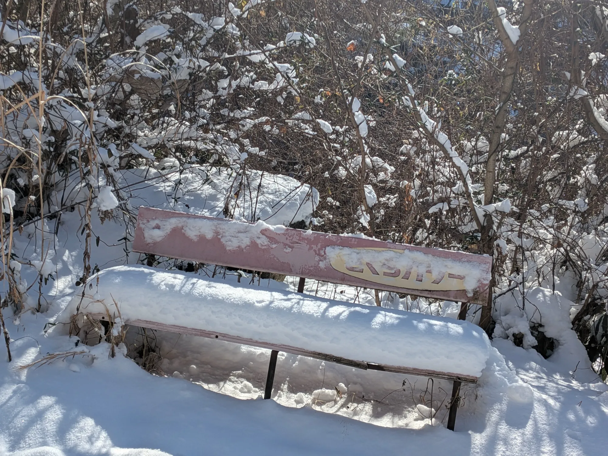 たむら鍼灸整骨院のイメージ