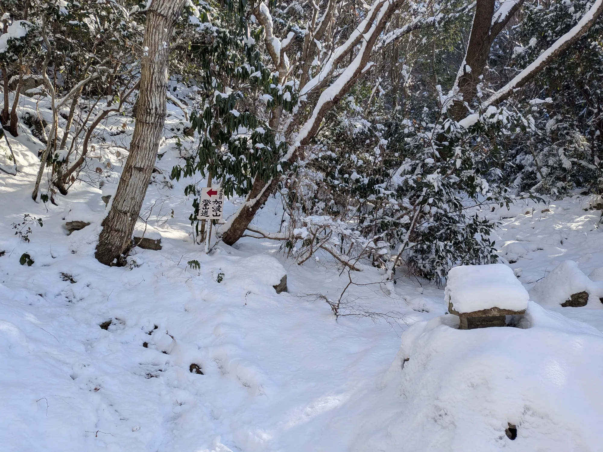 たむら鍼灸整骨院のイメージ