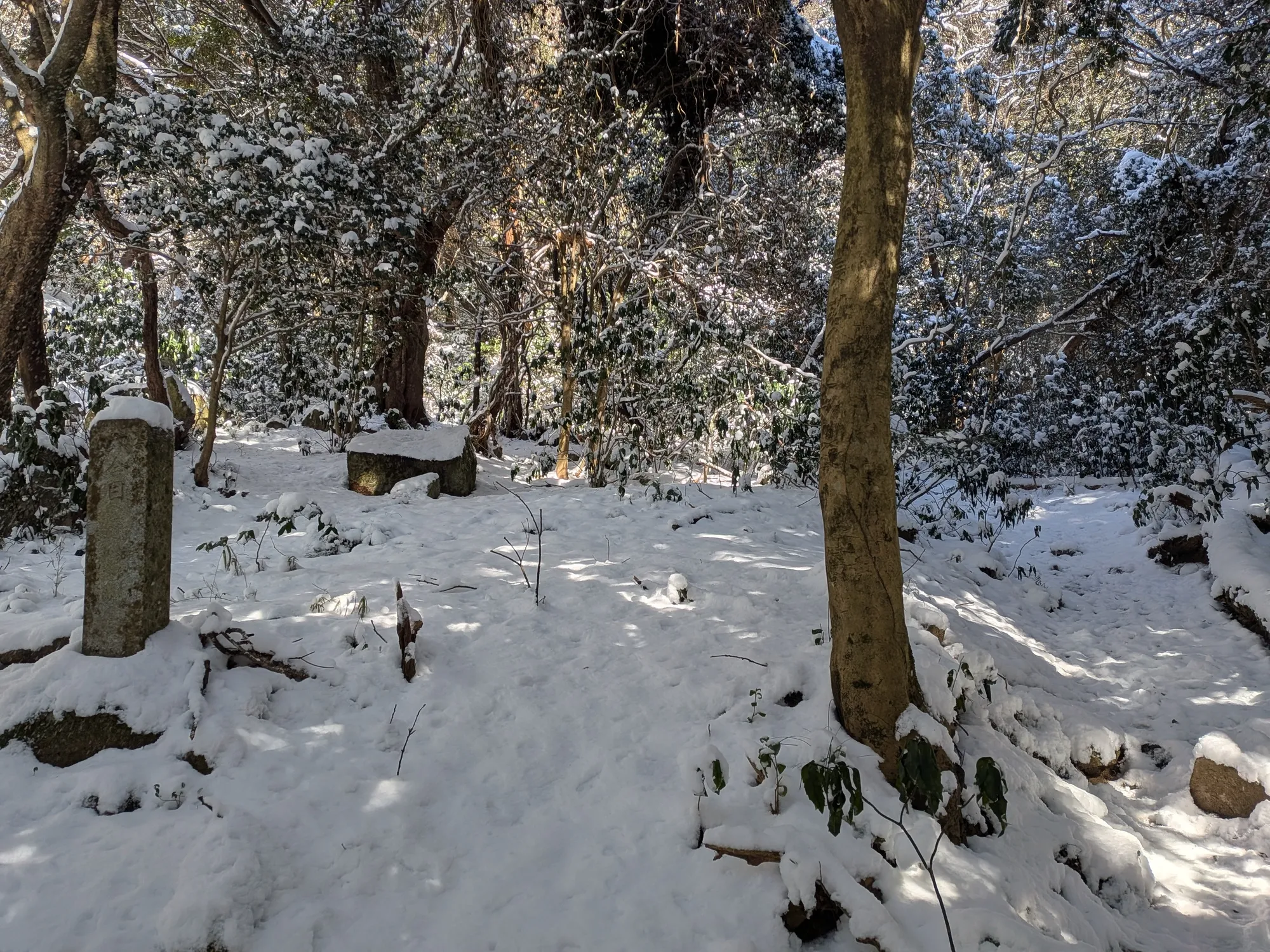 たむら鍼灸整骨院のイメージ