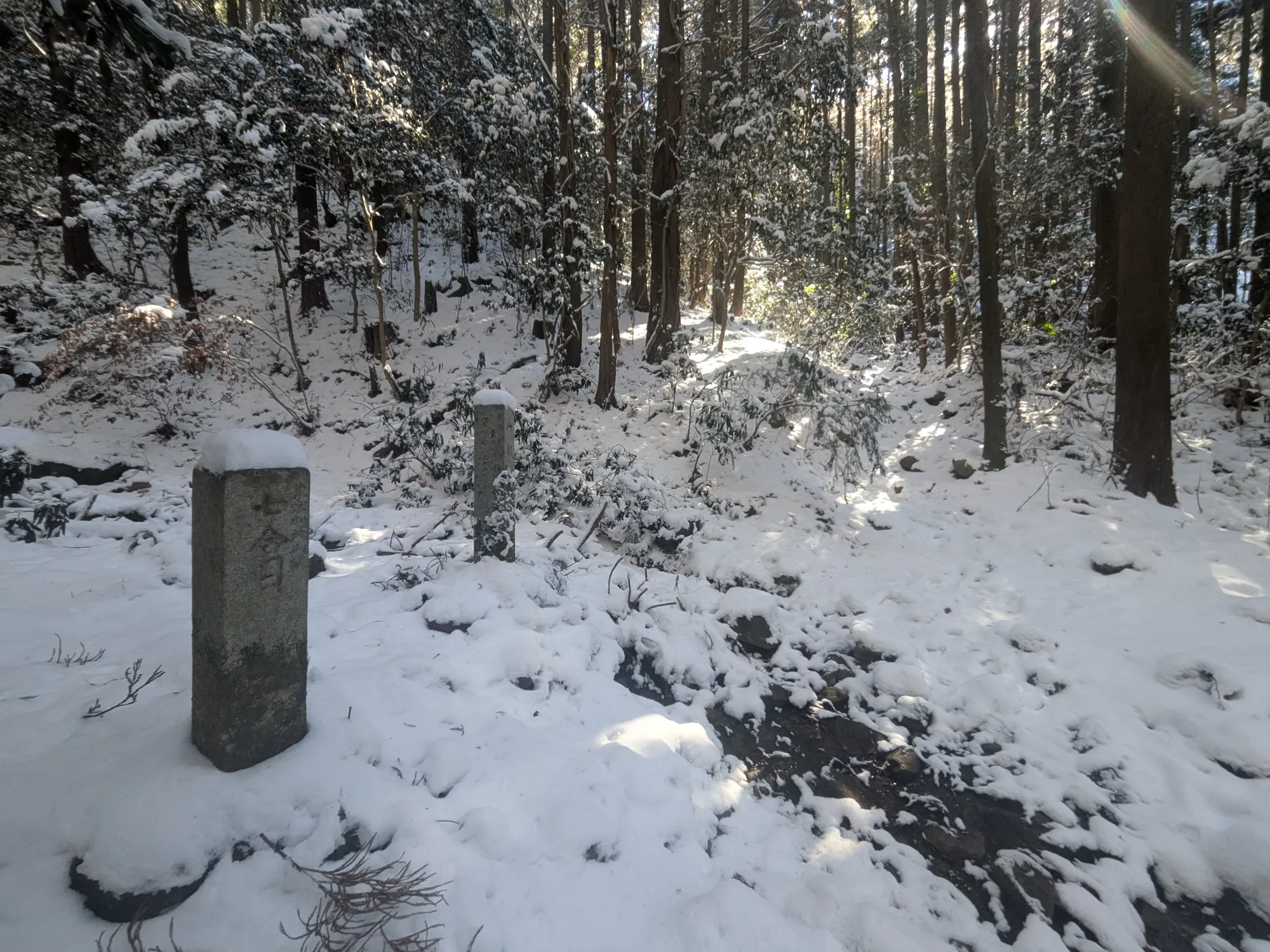 たむら鍼灸整骨院のイメージ