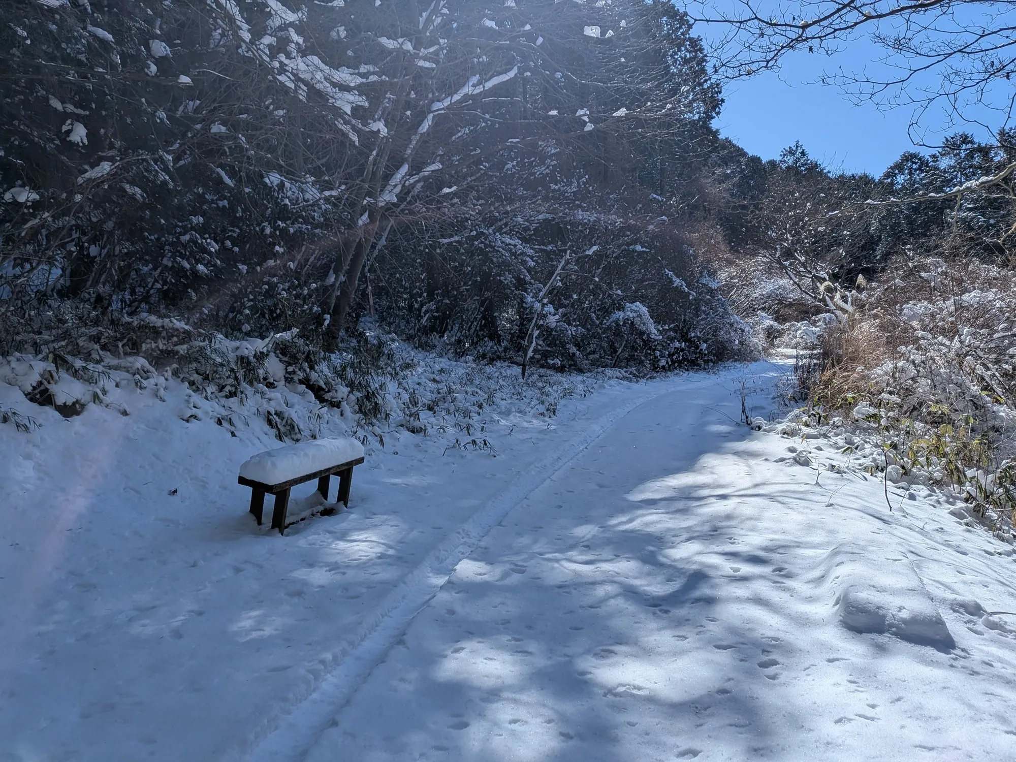 たむら鍼灸整骨院のイメージ
