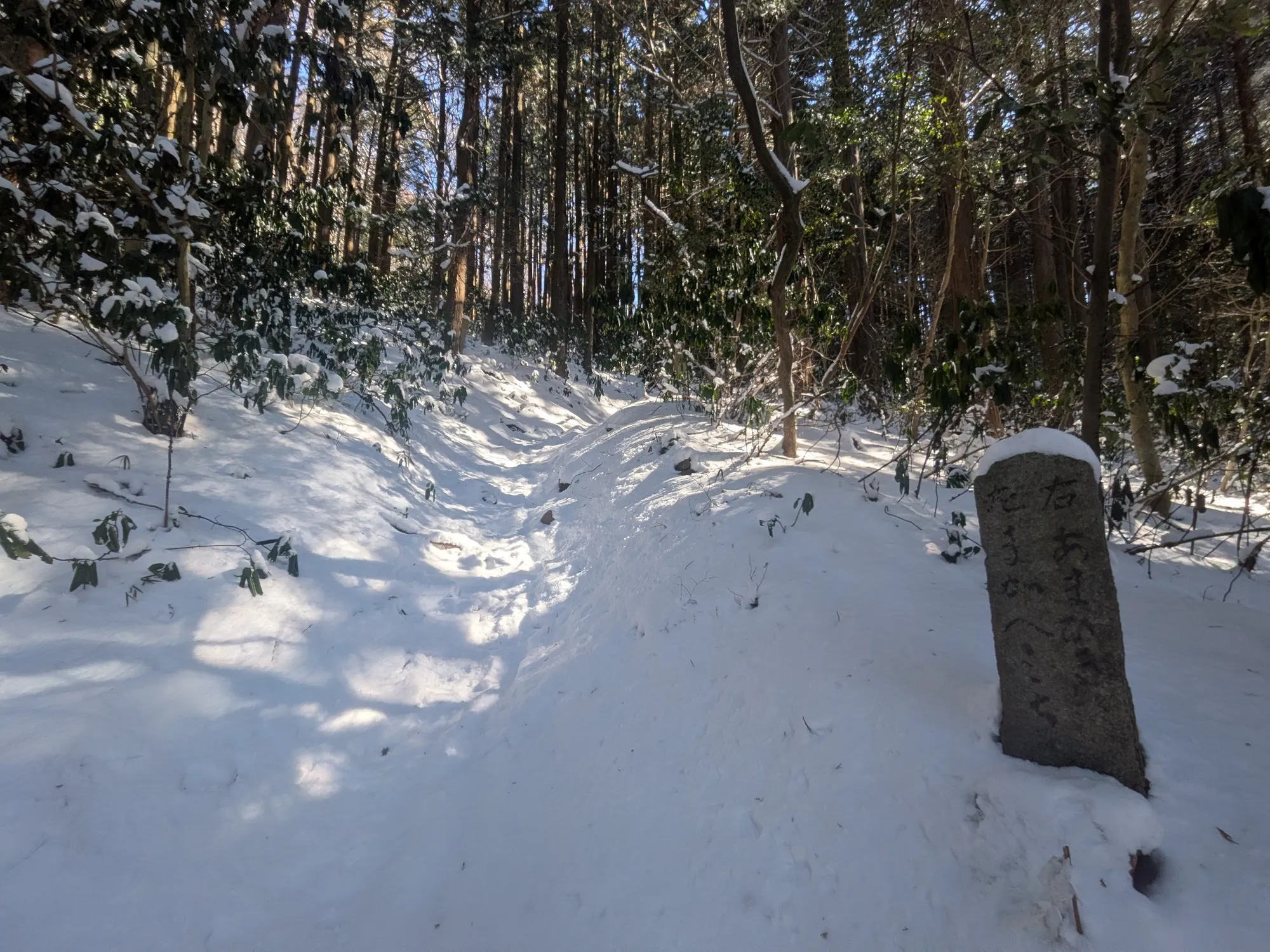 たむら鍼灸整骨院のイメージ