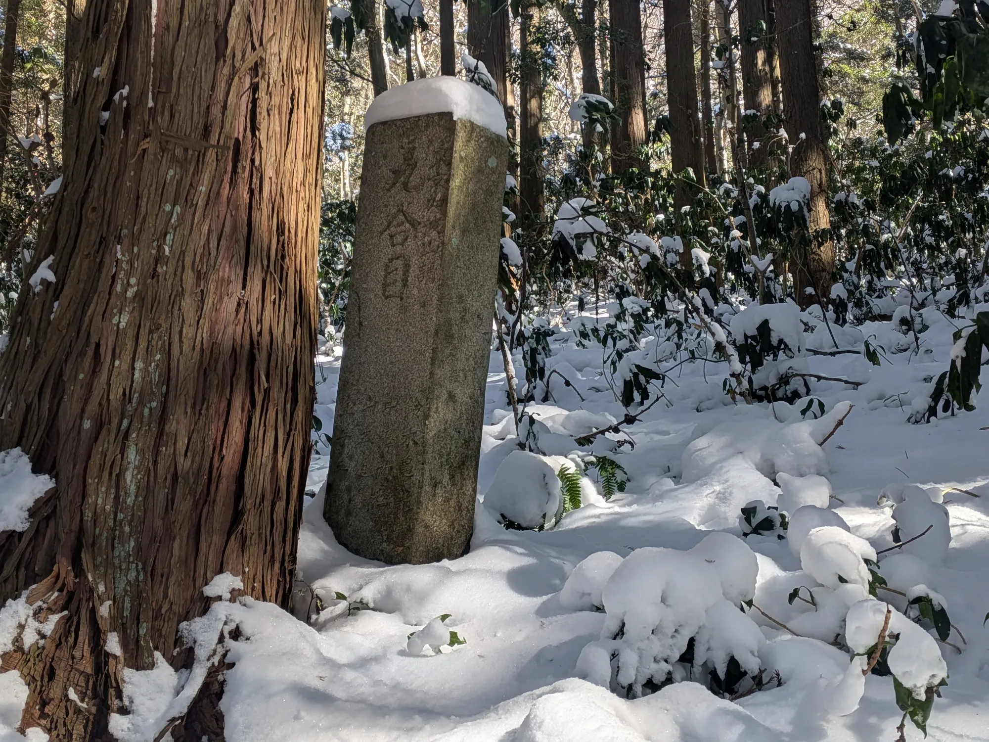 たむら鍼灸整骨院のイメージ