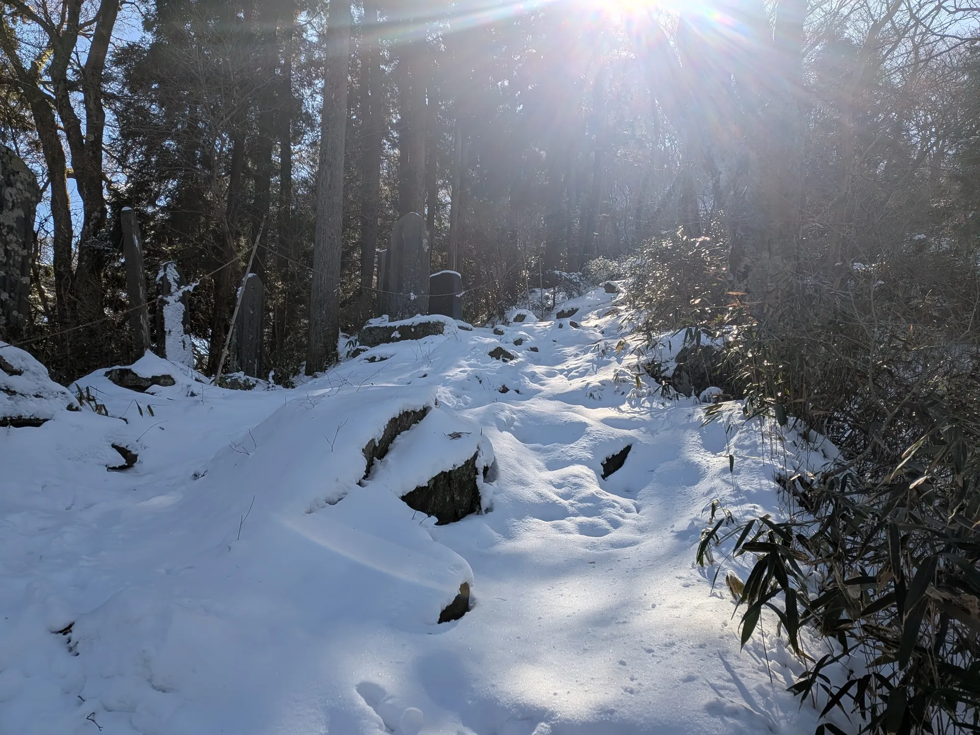 たむら鍼灸整骨院のイメージ