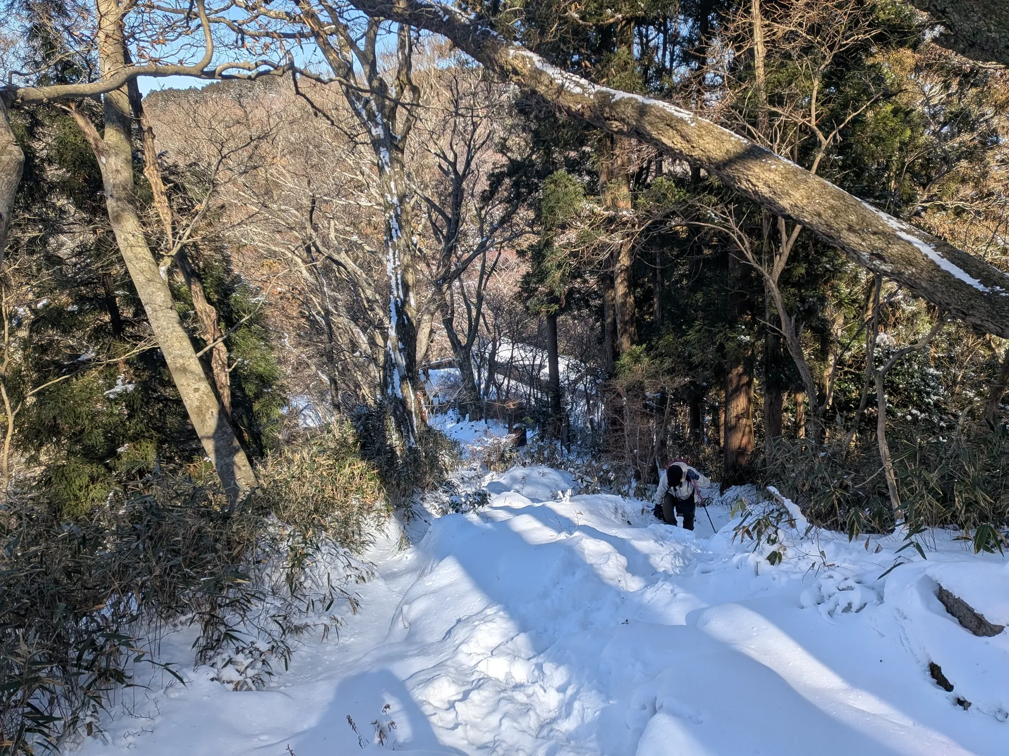 たむら鍼灸整骨院のイメージ