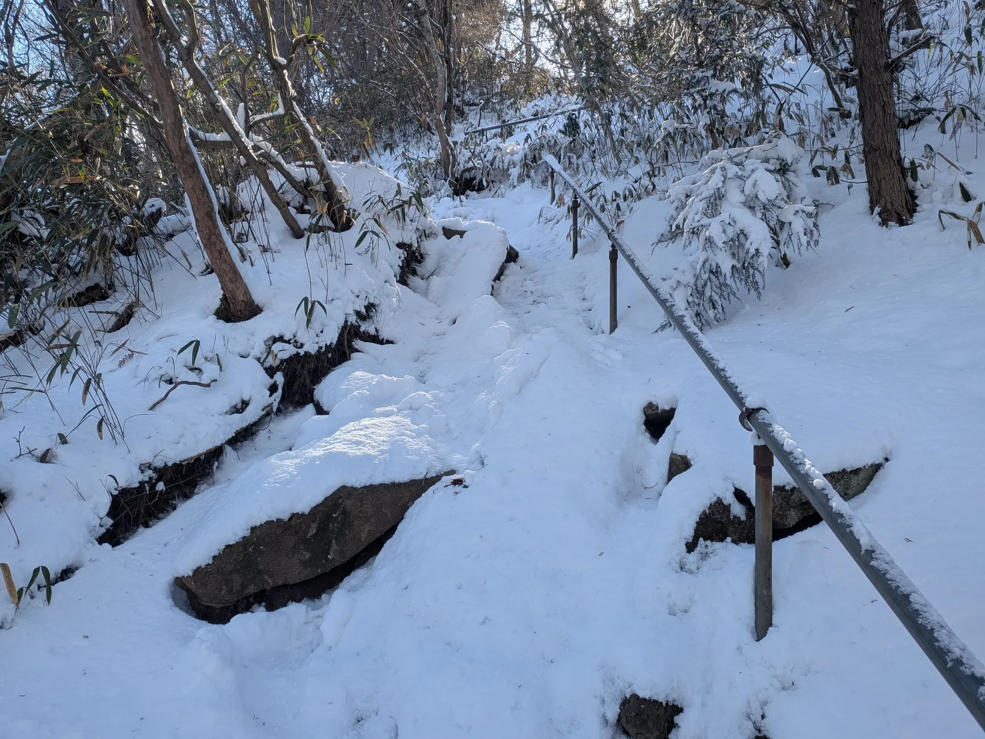 たむら鍼灸整骨院のイメージ