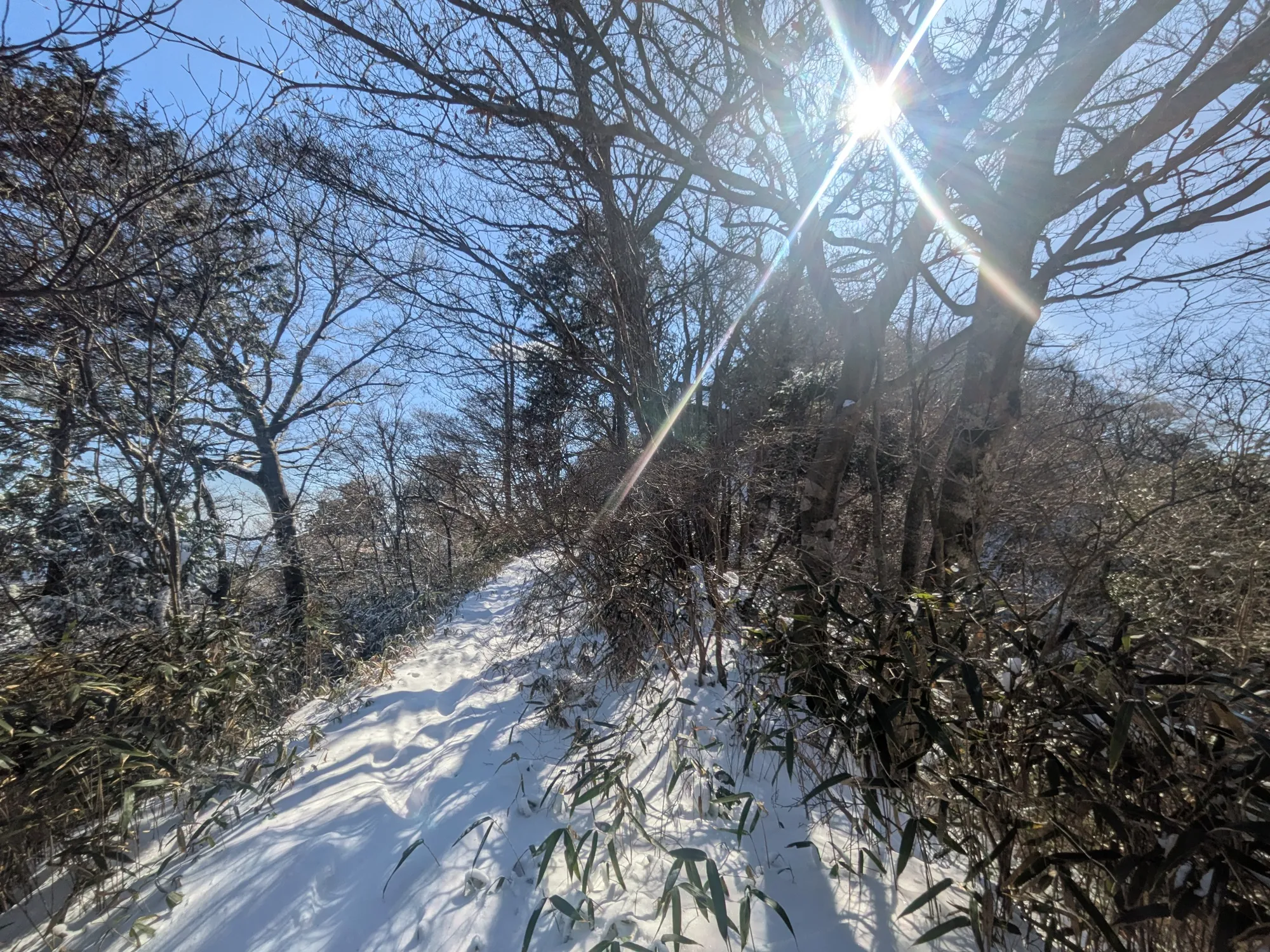 たむら鍼灸整骨院のイメージ