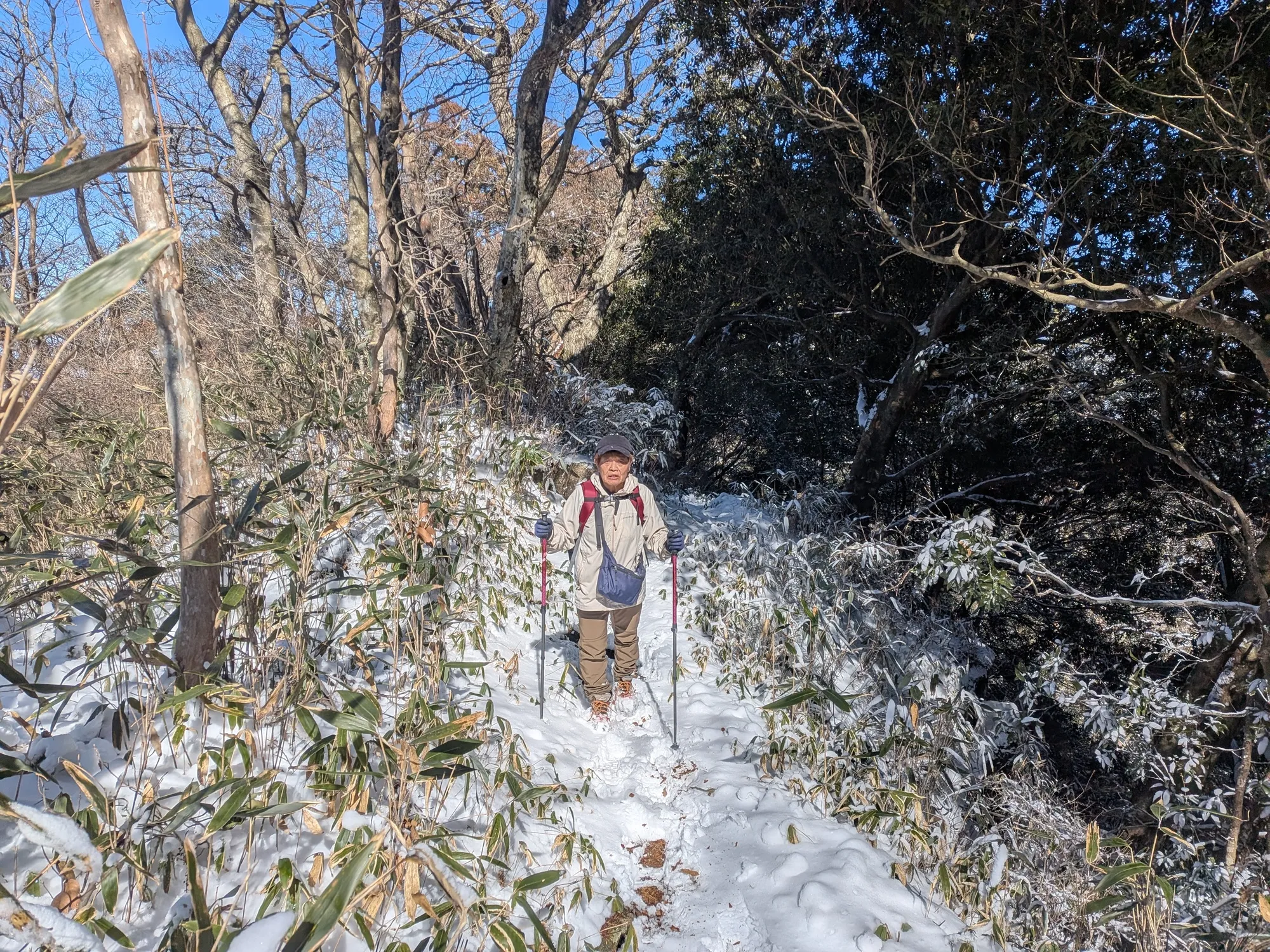 たむら鍼灸整骨院のイメージ